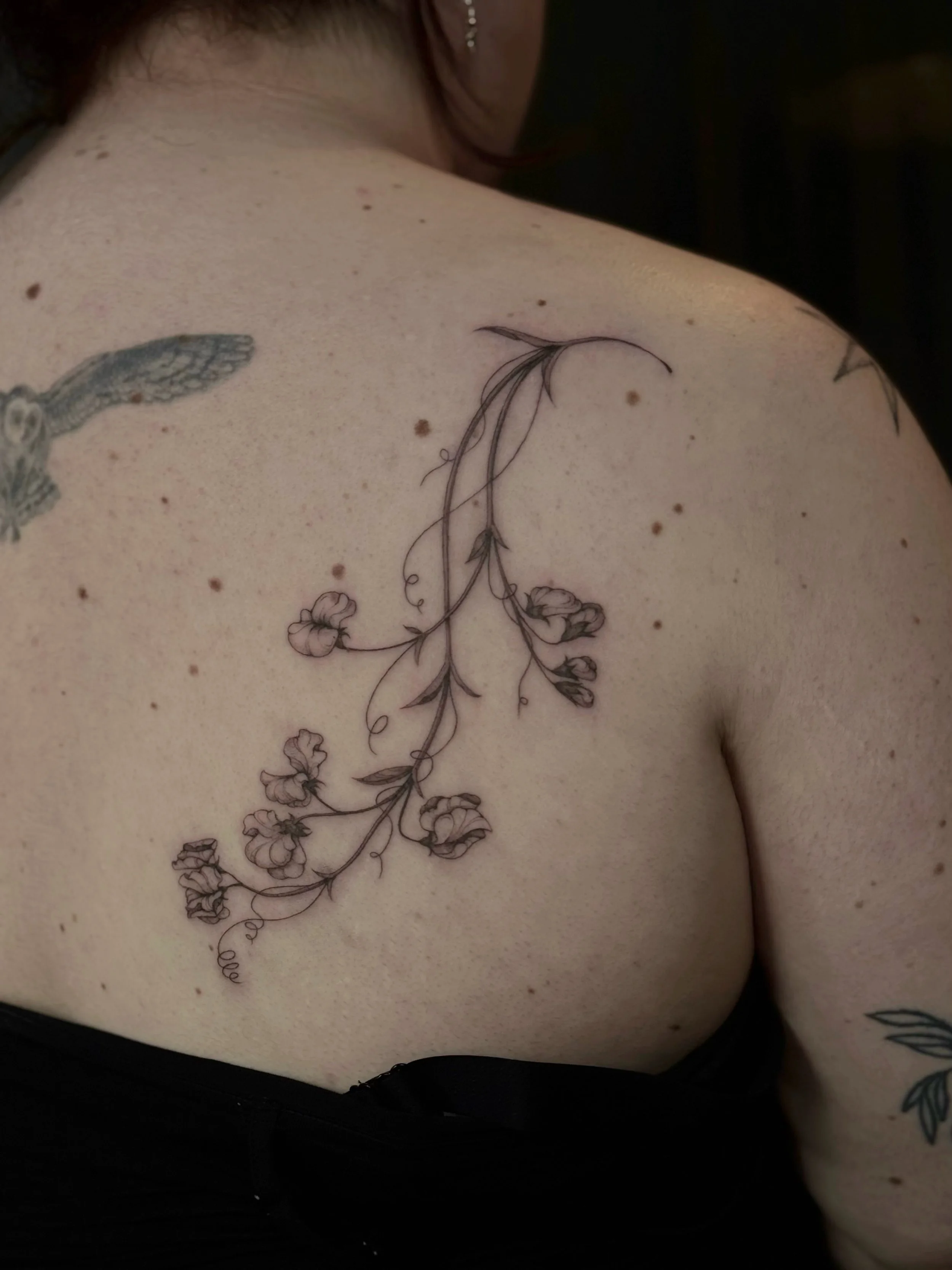Sweet pea flowers for Sam 🫛
~
During our consultation, Sam was looking for a design that flows down the right side of her upper back. Together, we looked at examples of flowers and what appealed to her. We narrowed down a few and settled on the swee