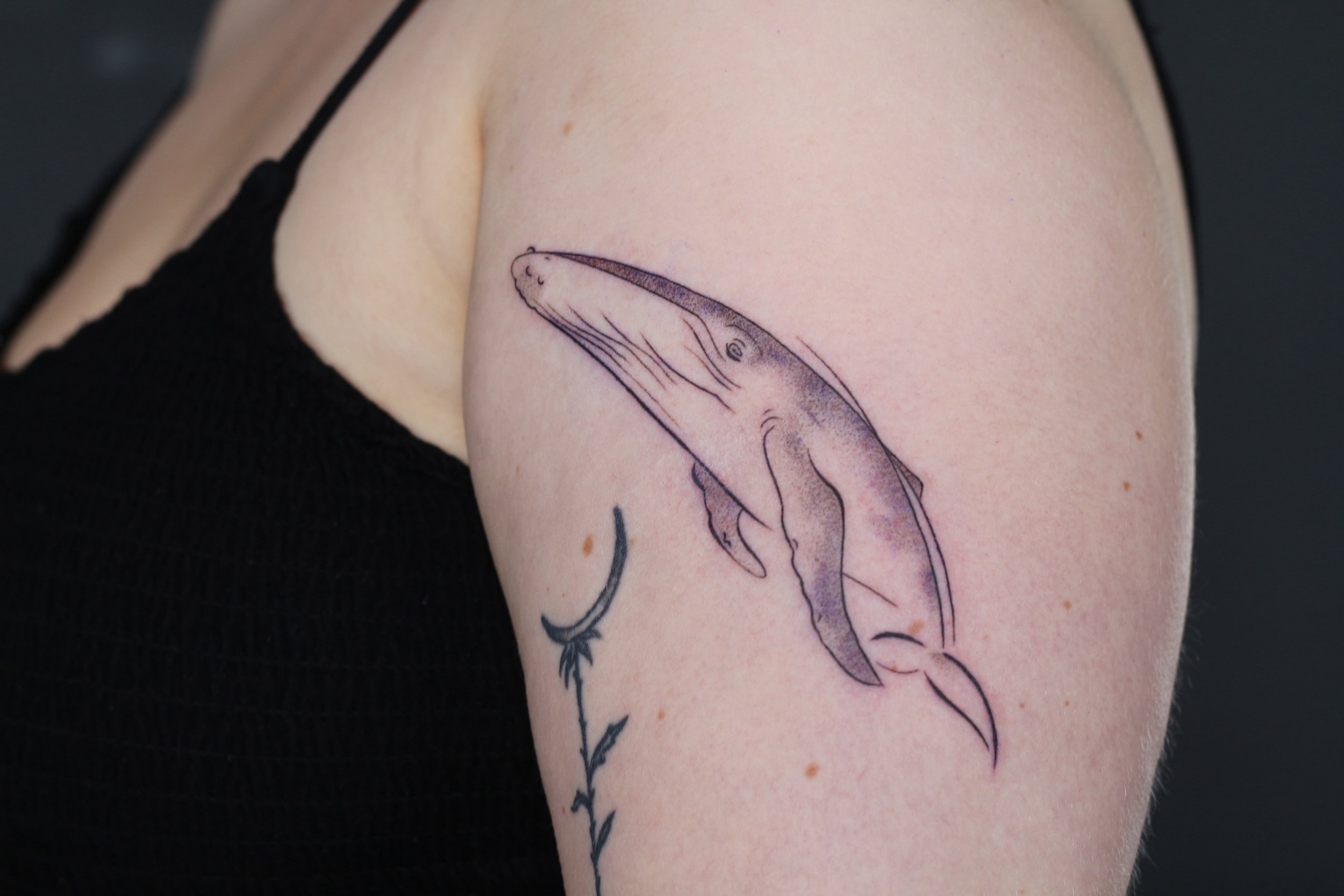 I love when you guys pick my flashes! Keep doing it hehehehe

Done at @obscura.tattoo 
Supplied @anarchy_tattoo_supplies 

#whaletattoo #tattoo #tattooartist #ottawatattoo #queertattooartist
