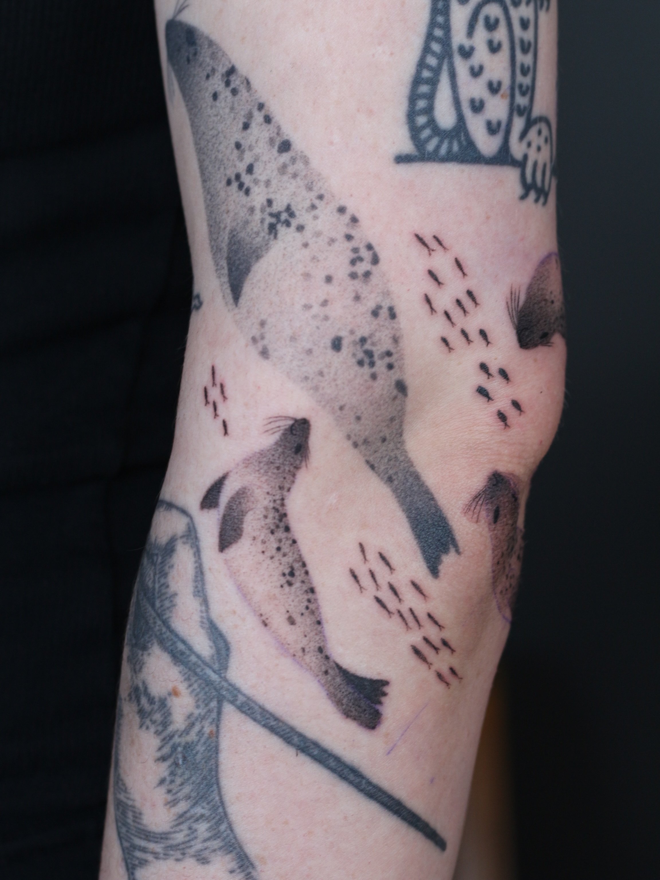 The bigger seal (healed no touch ups) got lonely so we added some new friends hehehe
Stencil game is strong goddamn

Done at @obscura.tattoo 
Supplied by @anarchy_tattoo_supplies 

#harbourseal #sealtattoo #blackandgreytattoo #illustrativetattoos #ot