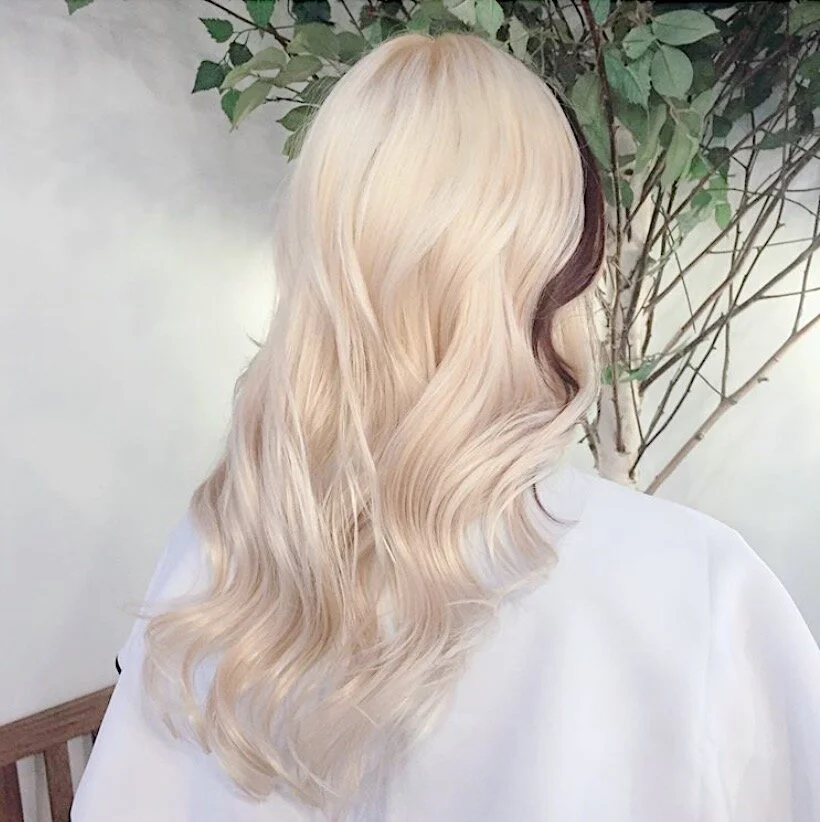 Ice Blonde & Dark Brown Point