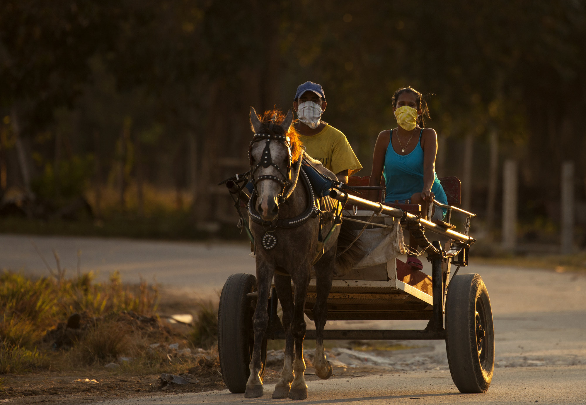  Campesinos cubanos en el poblado de Wajay usan tapabocas para protegerse del Coronavirus mientras viajan en su carro de caballo al finalizar su da de trabajo.  