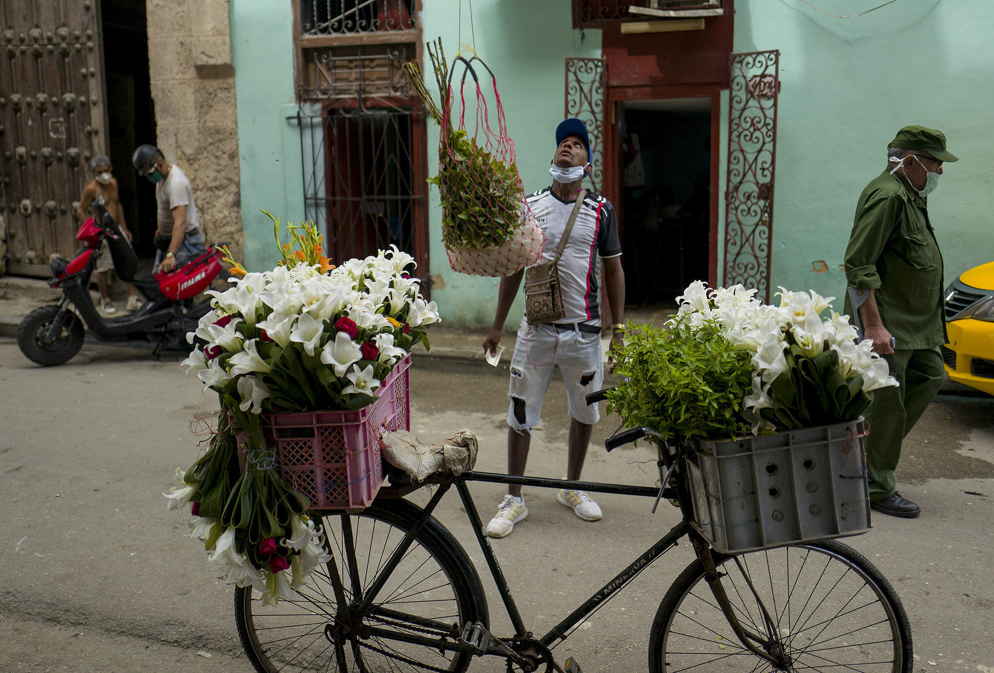  Yoilen Vicente Figueroa ya empez a recorrer las calles de La Habana Vieja para surtir de aromas y colores, a sus clientes fieles. Las flores siempre ayudan a sobrellevar esta crisis.   