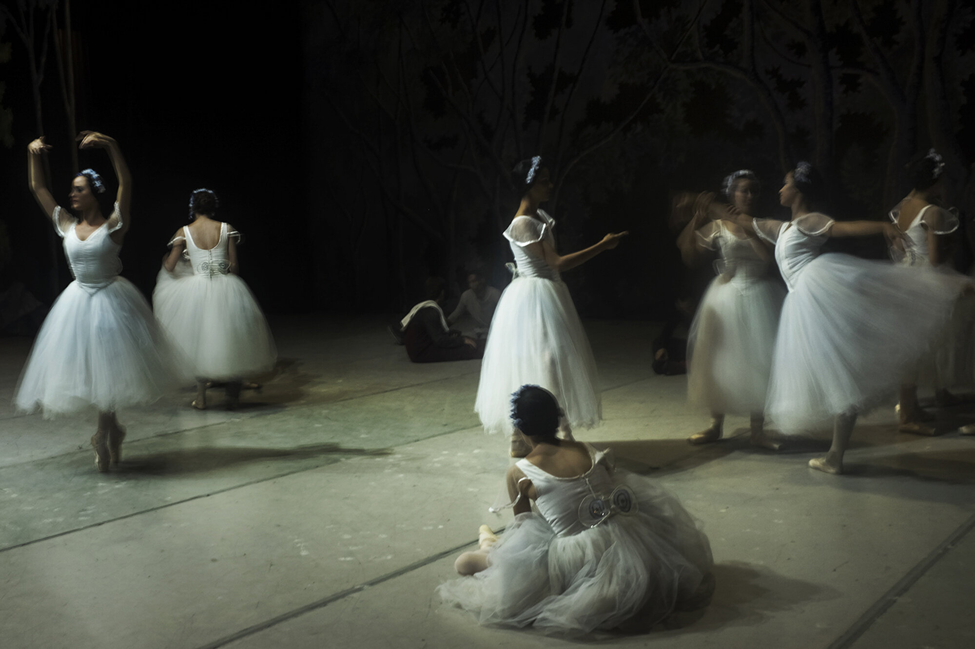 Serie ballet  las silfides,2015-2.jpg
