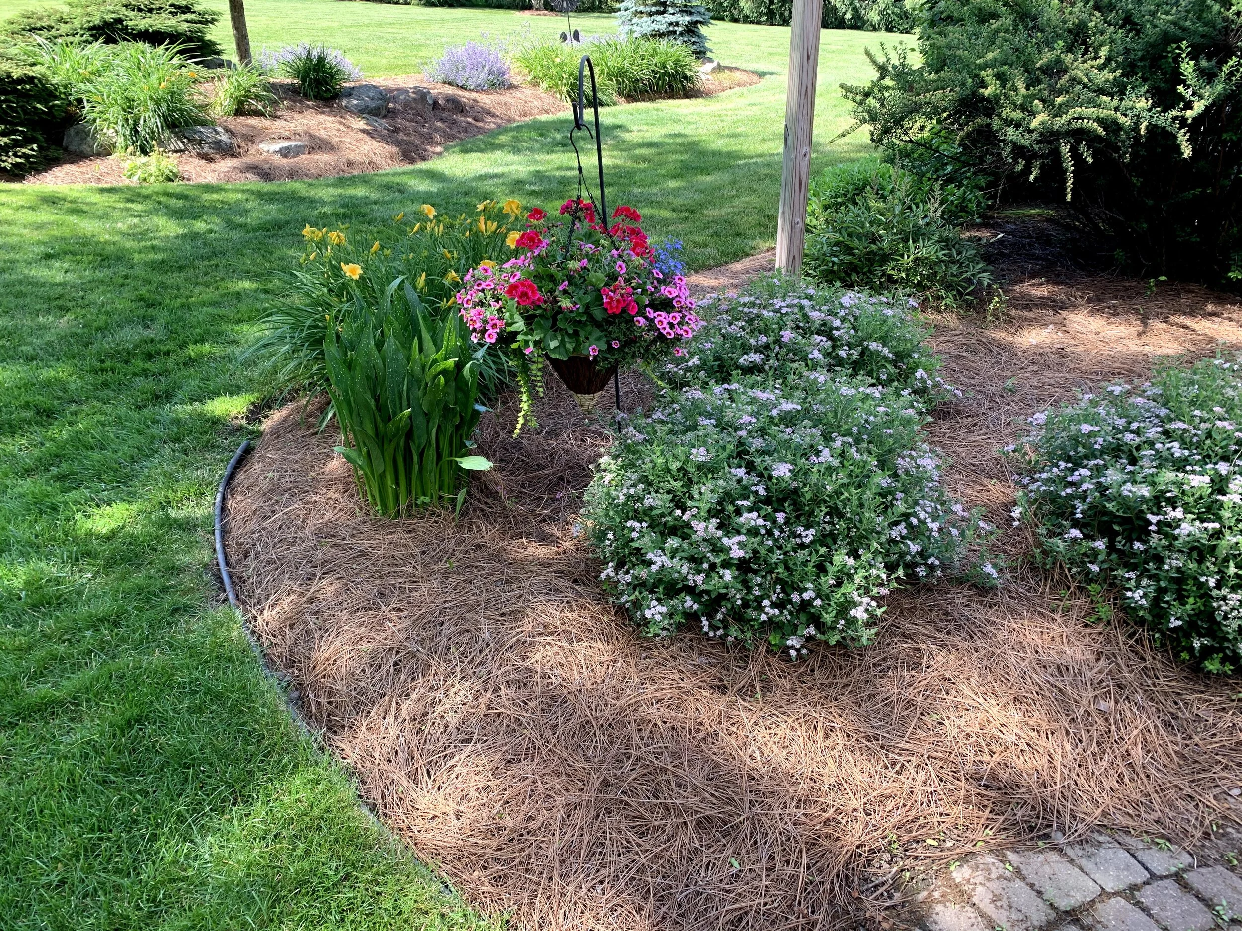 New England Pine Straw Mulch