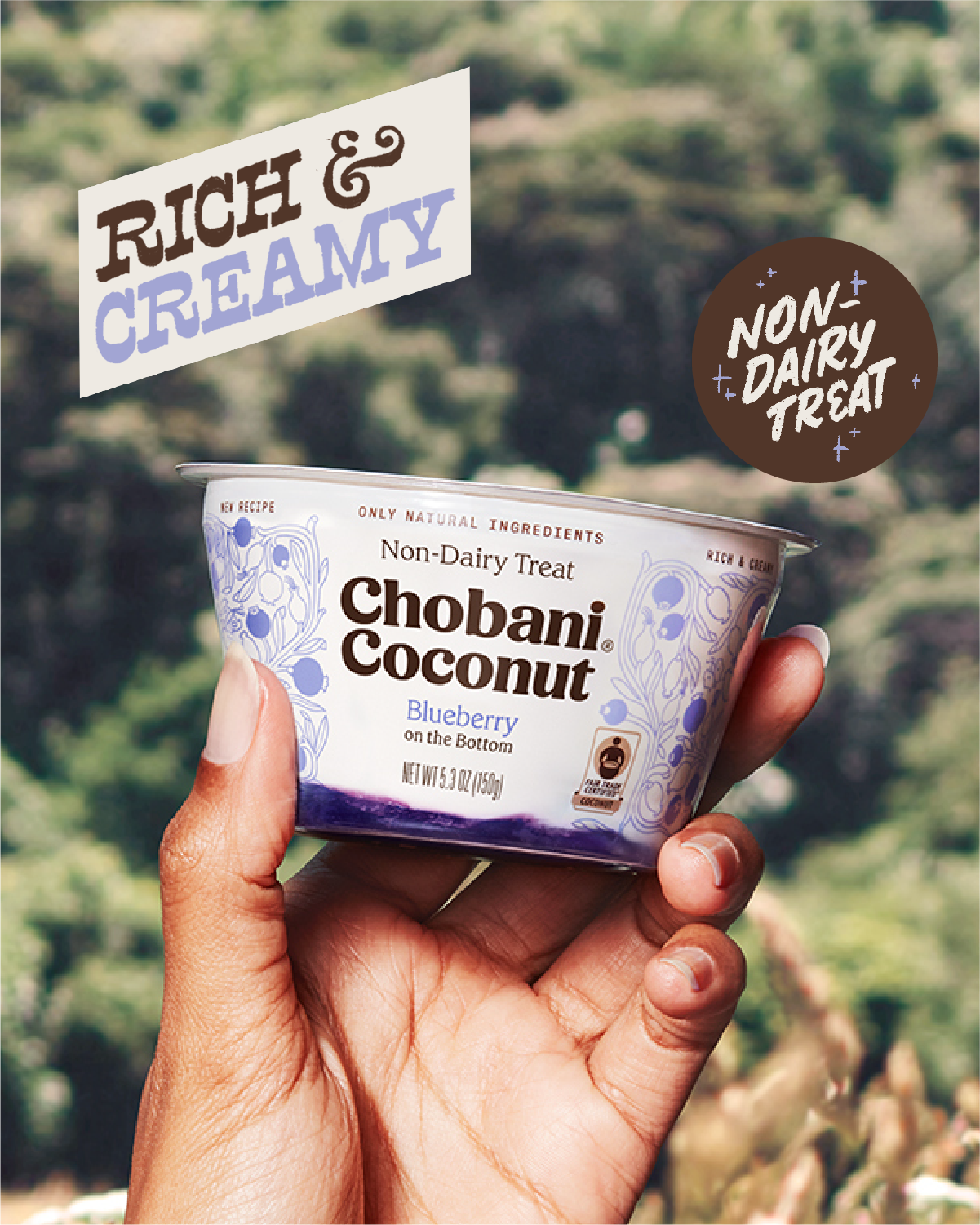 Non -Dairy Chobani logo. Chobani Edition. Chobani creamy Banana. Only rich