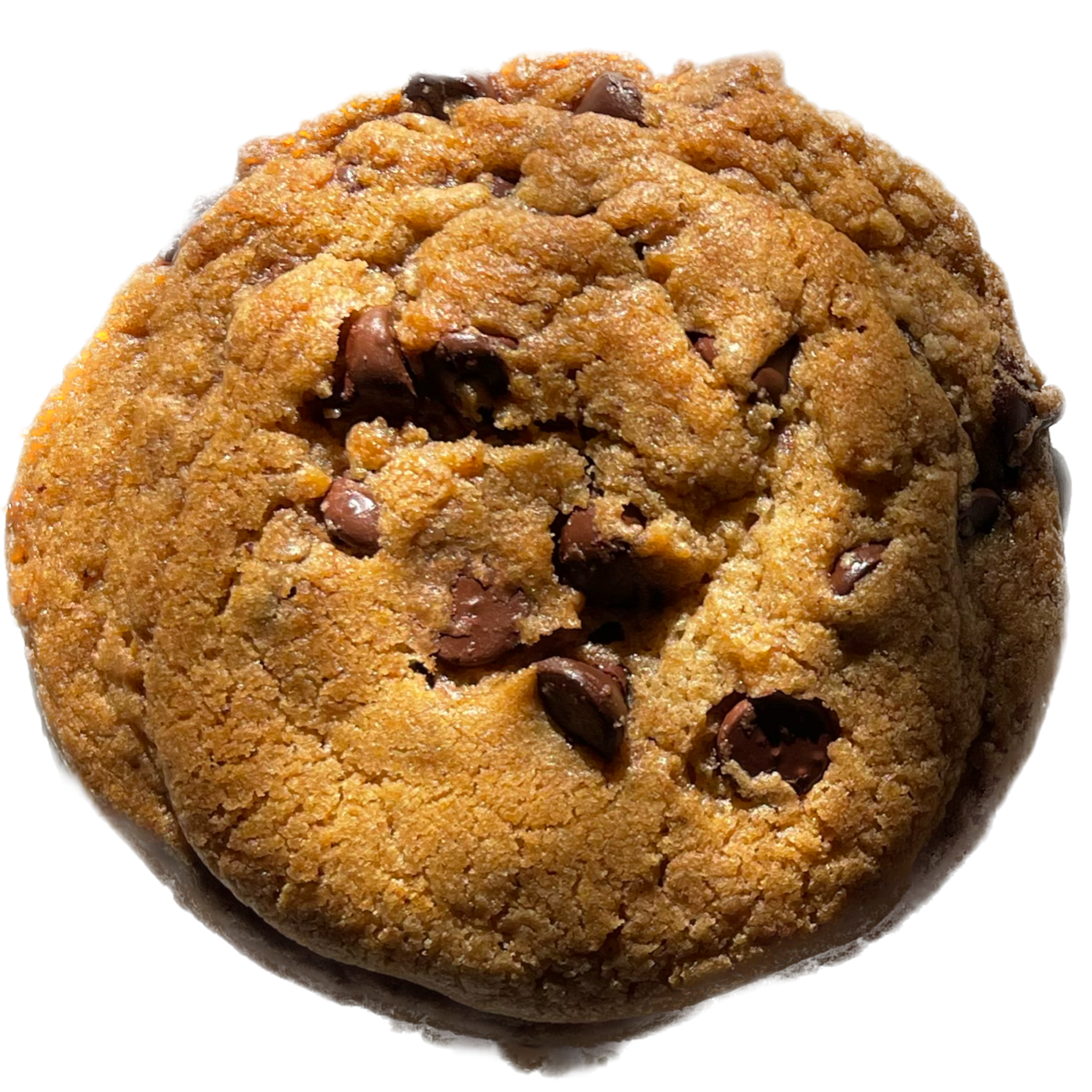Chocolate Chip