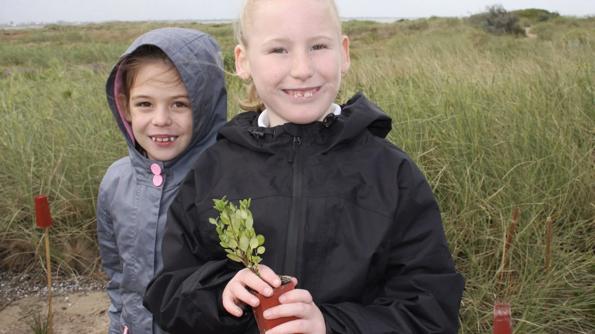 Yr 3 Adopt a Beach Excursion