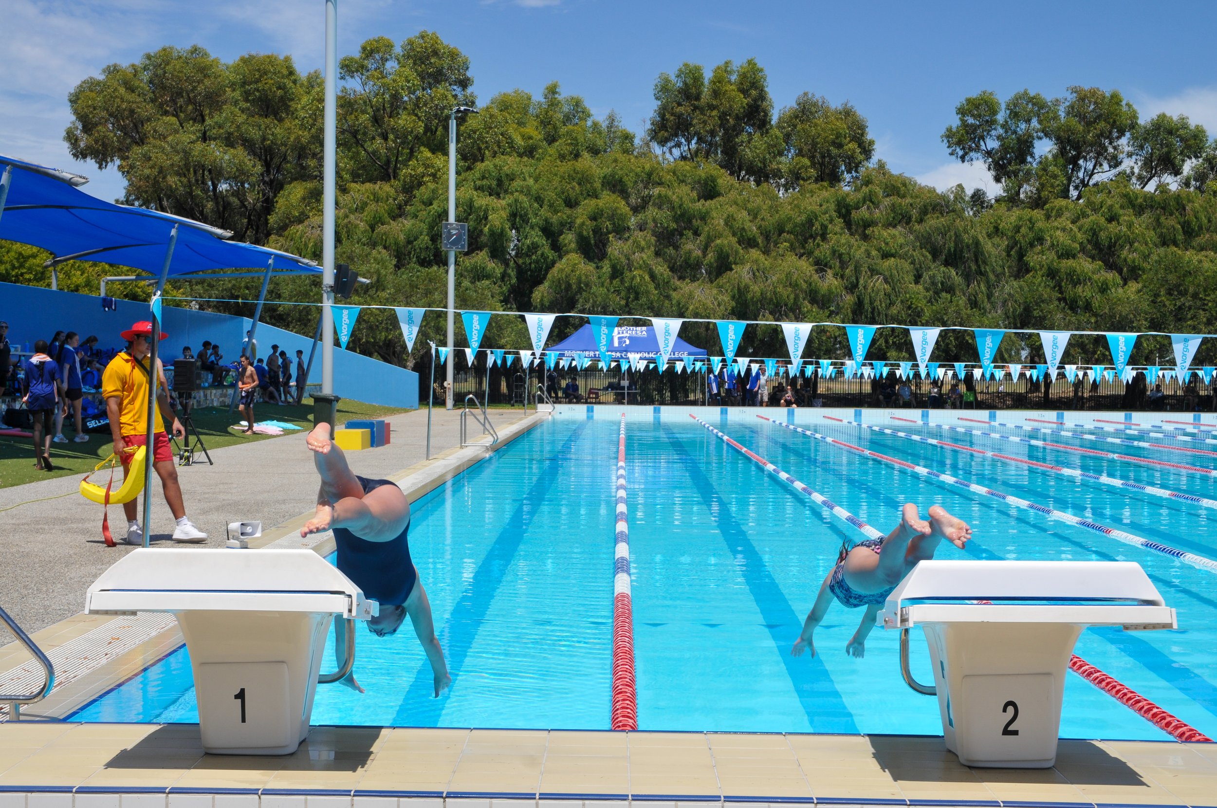 Competitive Swimming Carnival — Mother Teresa Catholic College