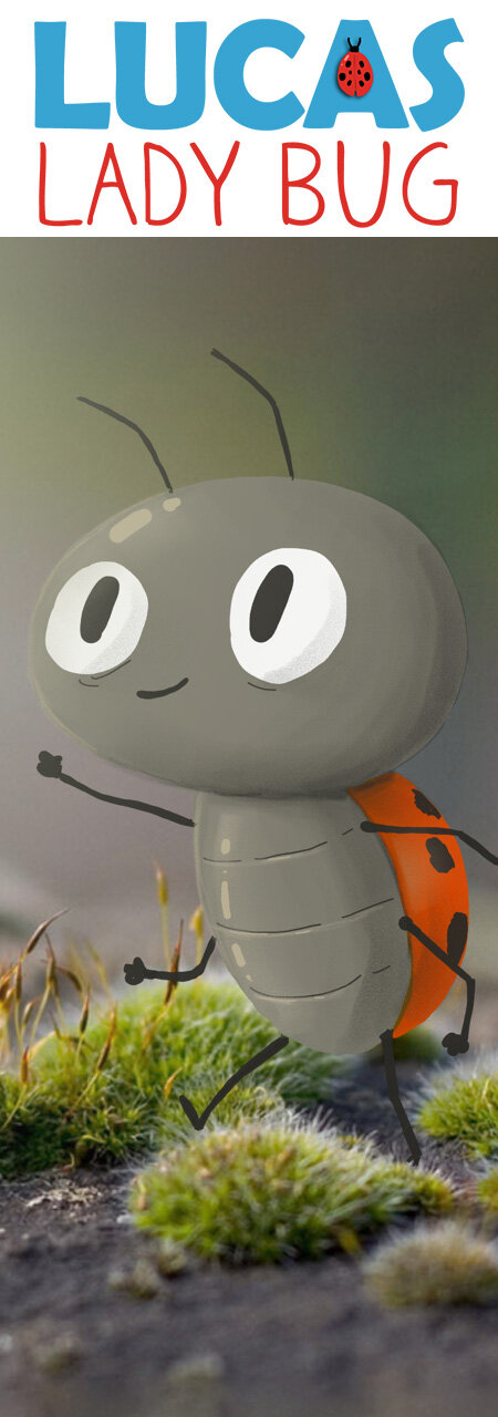 LUCAS LADYBUG-01 vert.jpg