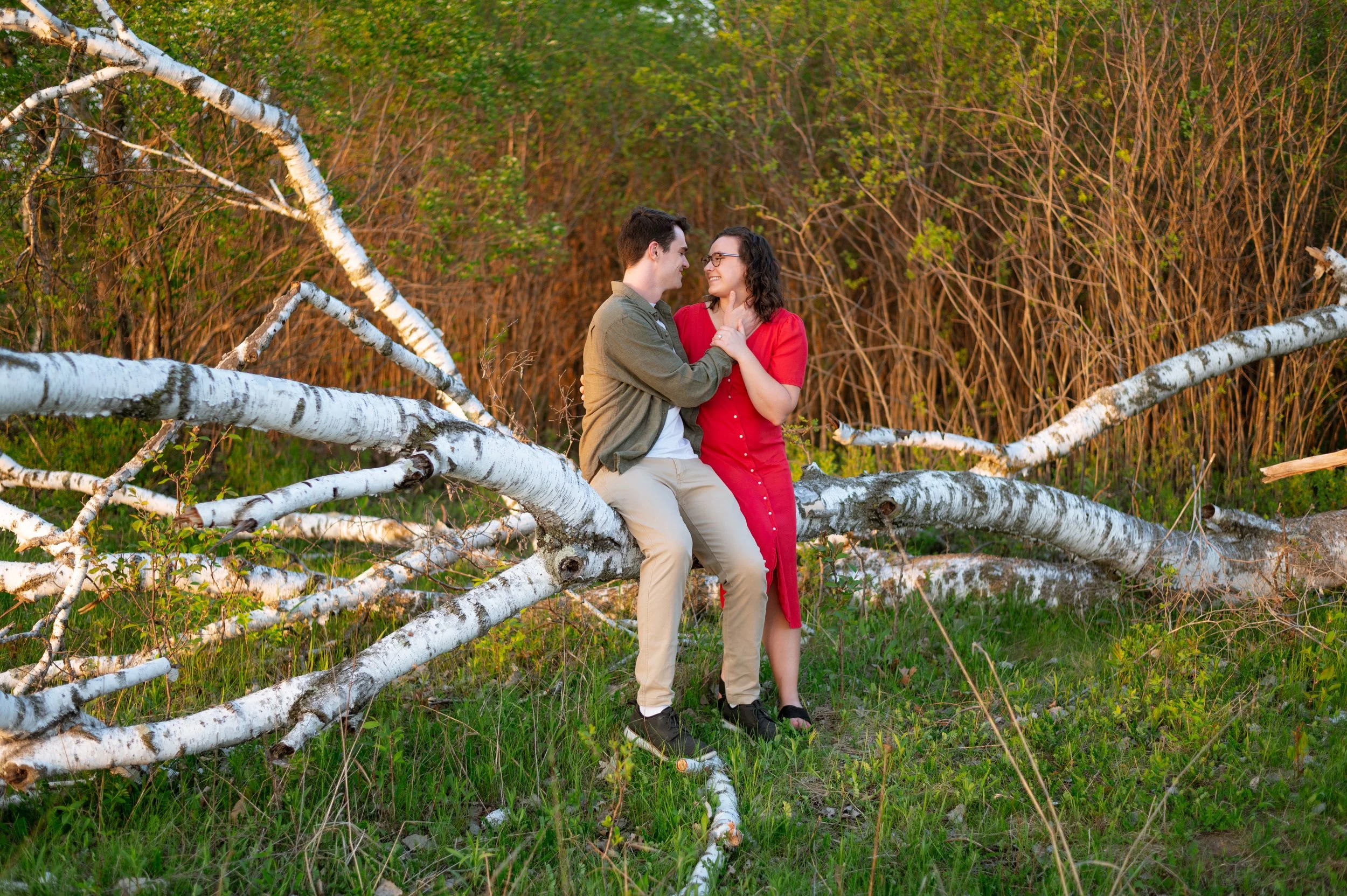 Afton State Park Engagement Session