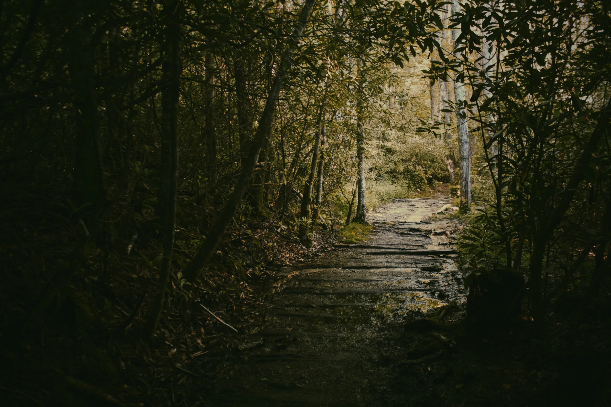 Use of Light to Follow Curve_2.jpg