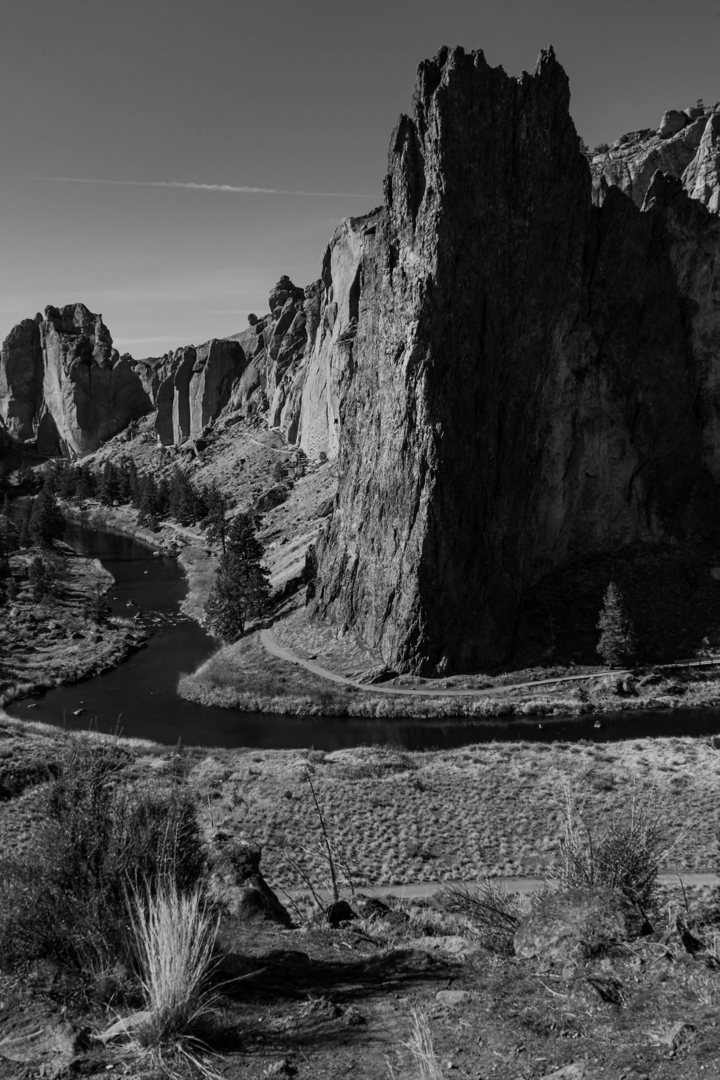 _DSC0698 copy.jpg