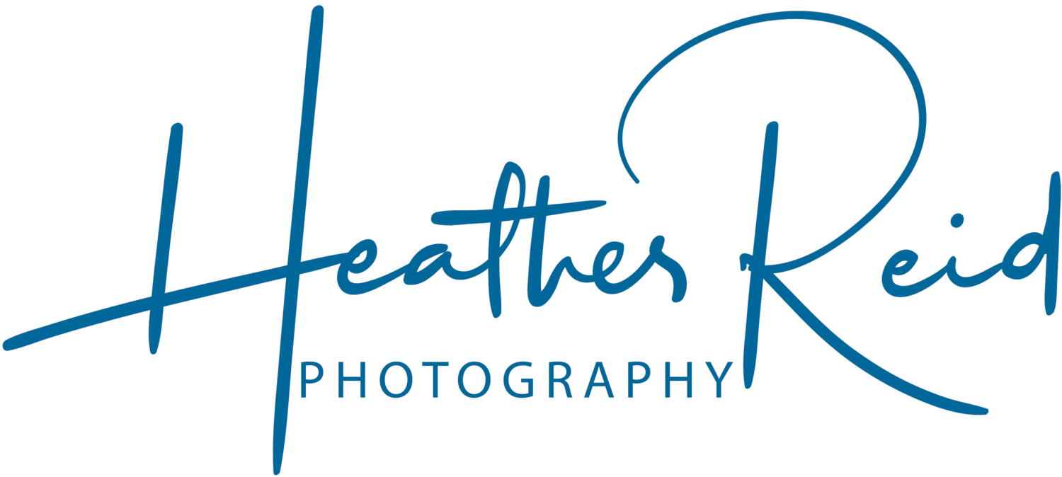 Heather Reid Photography