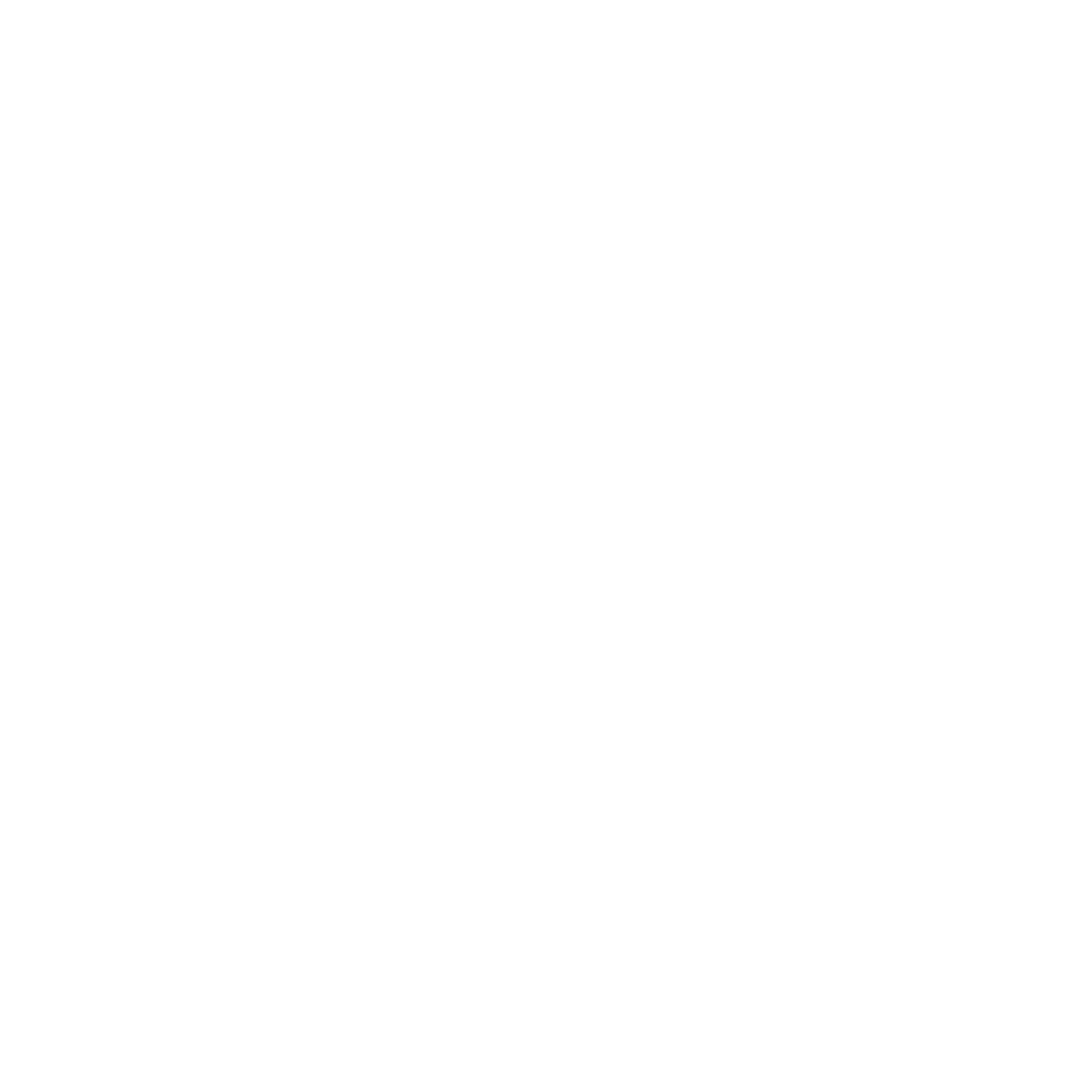 Mr. Homes Inspector