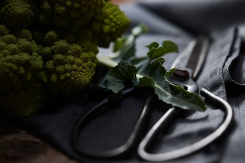 MIAMSTUDIO_FOOD_DAVIDETPIERRE0026.jpg
