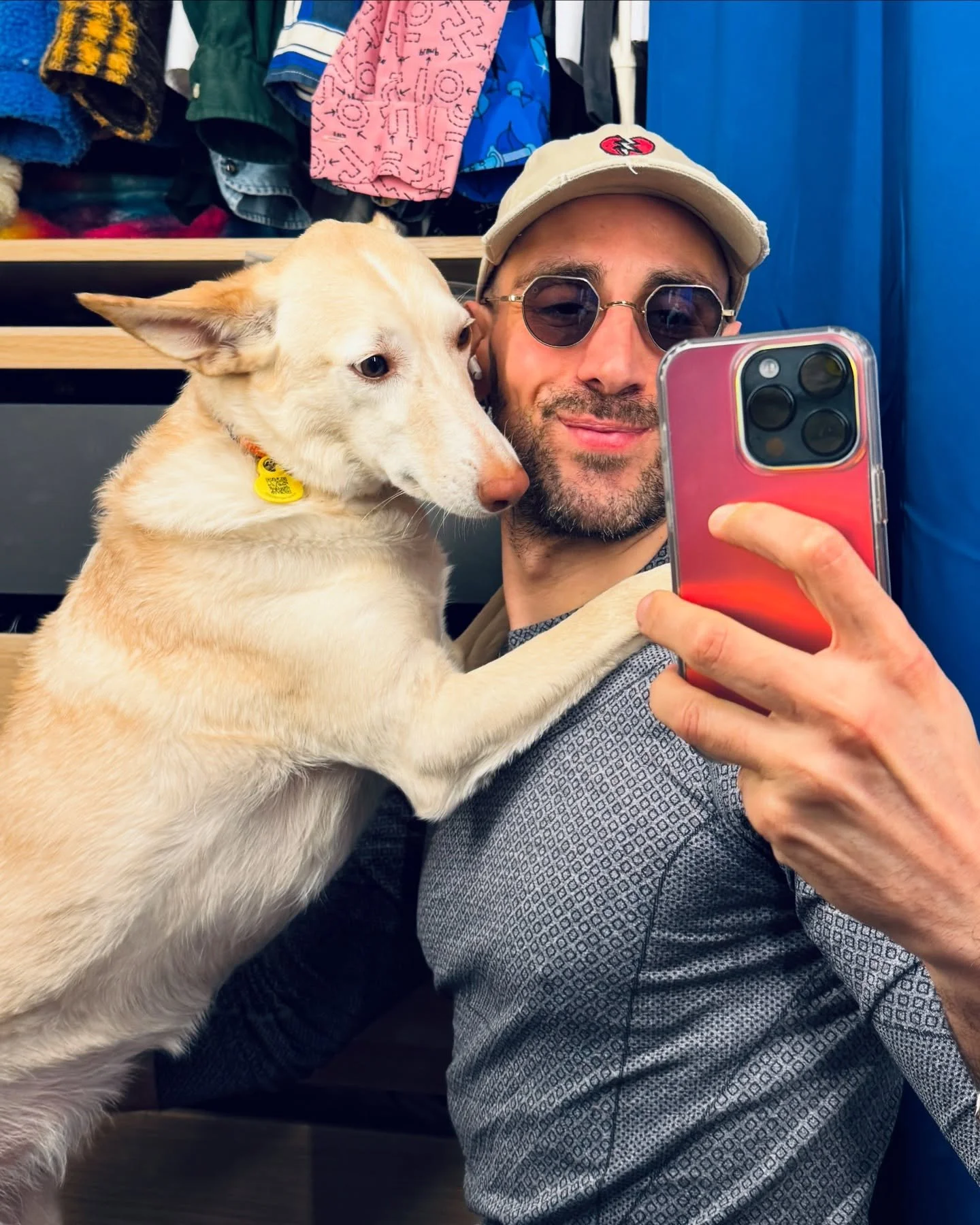 🤩 LA MAG&Uuml;I!!!! 🤩 
#podenco #podencomix #adoptdontbuy