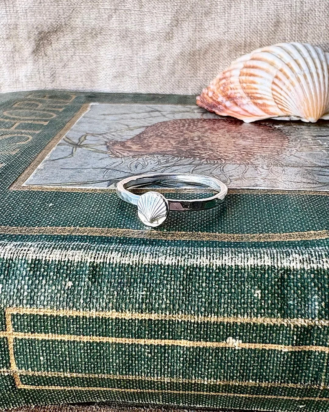 sterling-silver-shell-ring.JPG