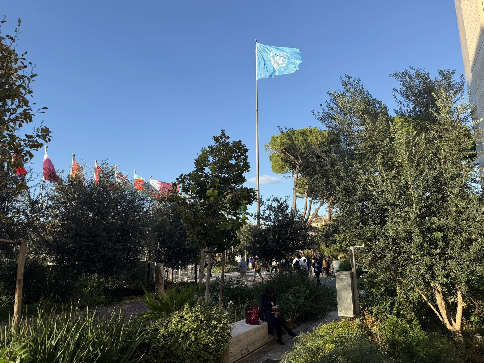 IMG_0697.JPEG