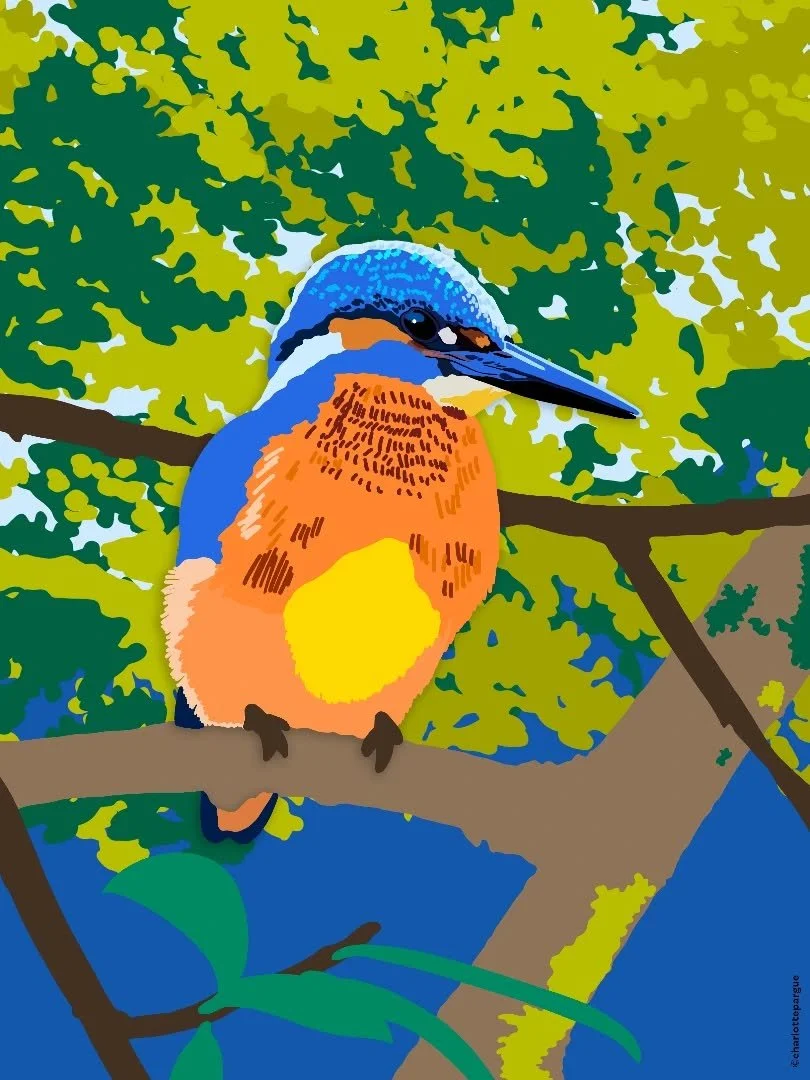 Un dessin parmi d&rsquo;autres r&eacute;alis&eacute; pour la 3&egrave;me &eacute;dition de @photoclimat, la biennale photo sociale et environnementale de Paris 🌍✨

J&rsquo;ai eu le plaisir de concevoir un parcours d&rsquo;illustrations p&eacute;dago