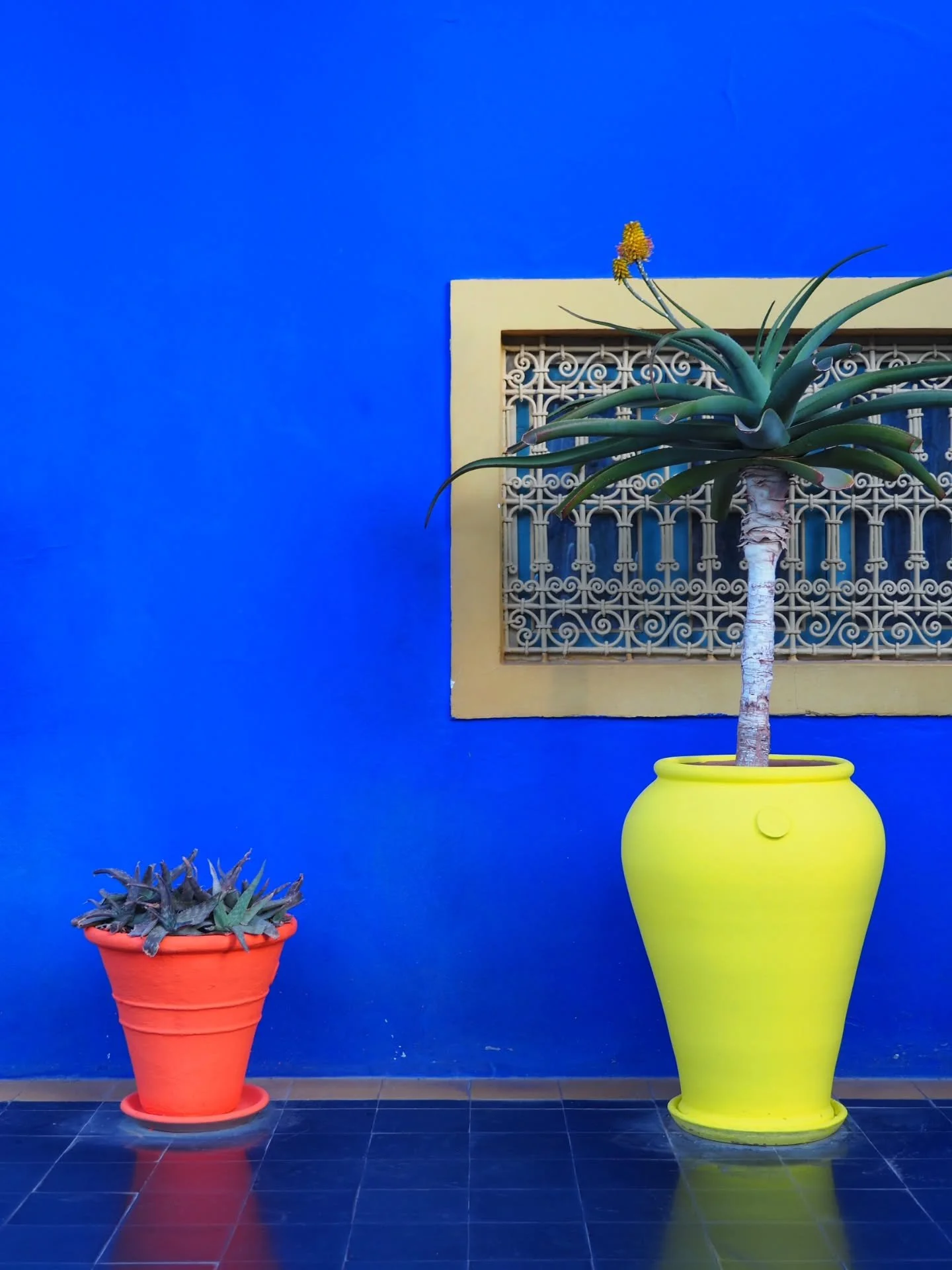 Couleurs et beaut&eacute; du Maroc 🤍 

#photography #maroc #colors