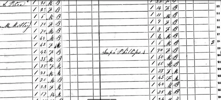 Hickman, 1850 United States Federal Census, Missouri, accessible at ancestry.co.uk
