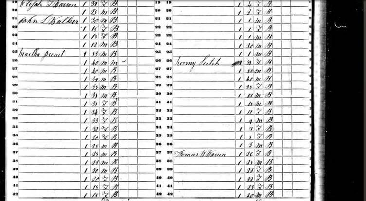 ‘Thomas W Warren’, District 8, Lawrence Alabama, 17 enslaved individuals, 1850 US Federal Census: Slave Schedules, accessible at ancestry.co.uk.  