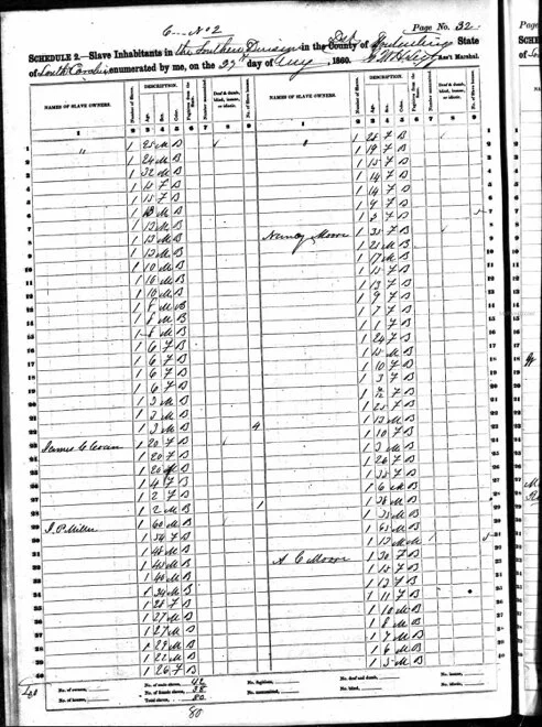 Document showing 11-year-old black girl born in 1849
