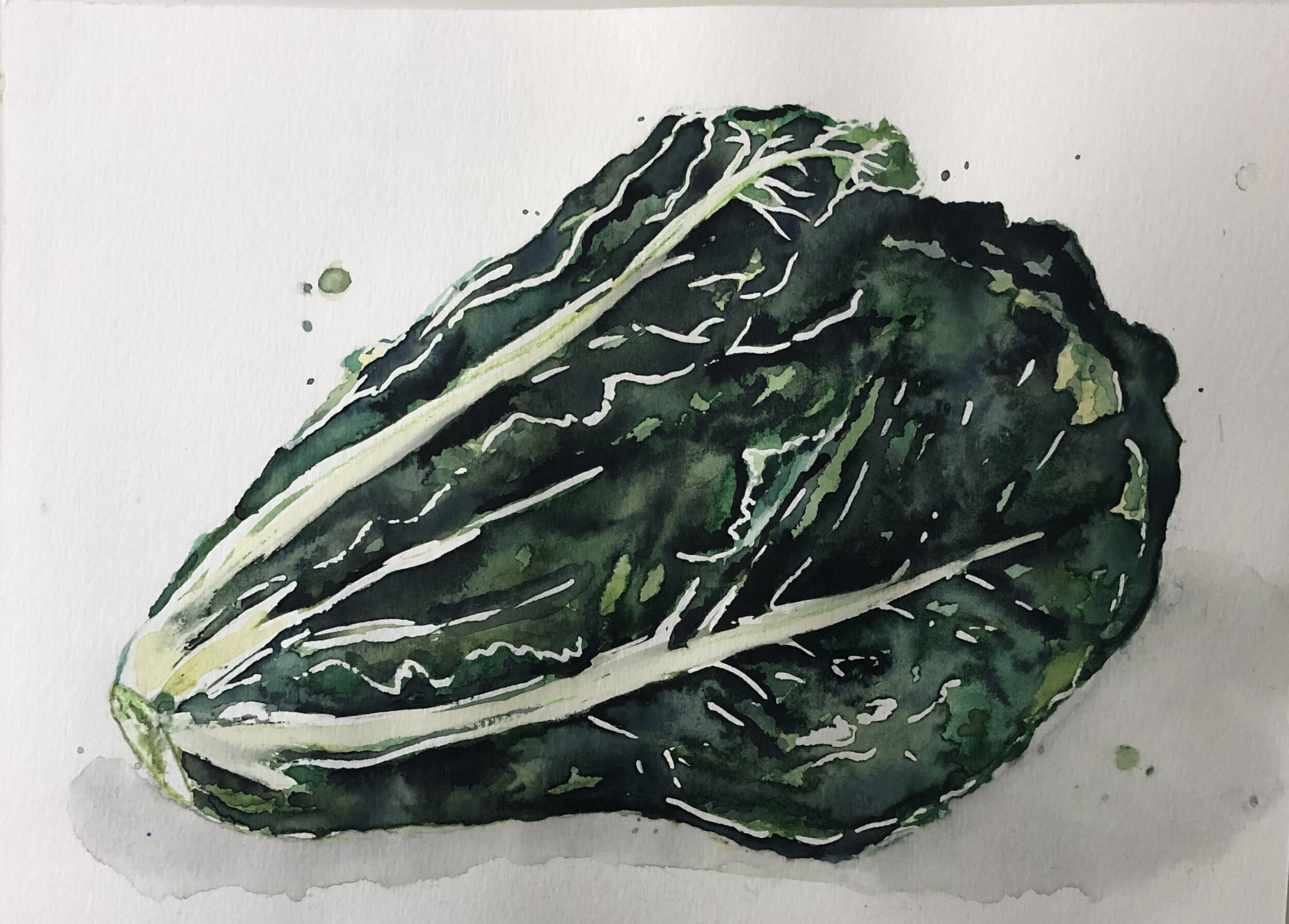 Watercolour on Paper 29x8cm