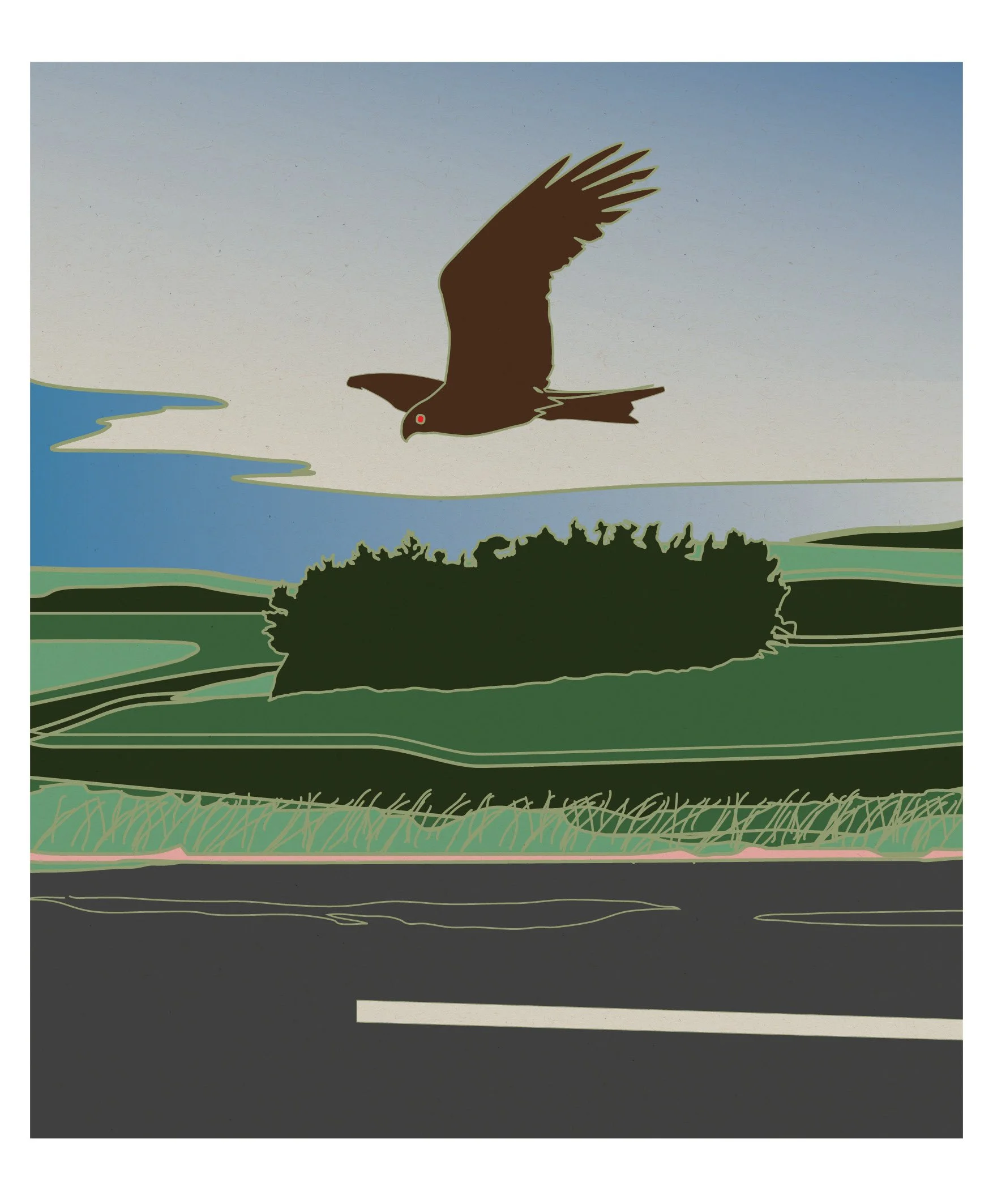 NZ Prints Frans Bisschops14.jpg