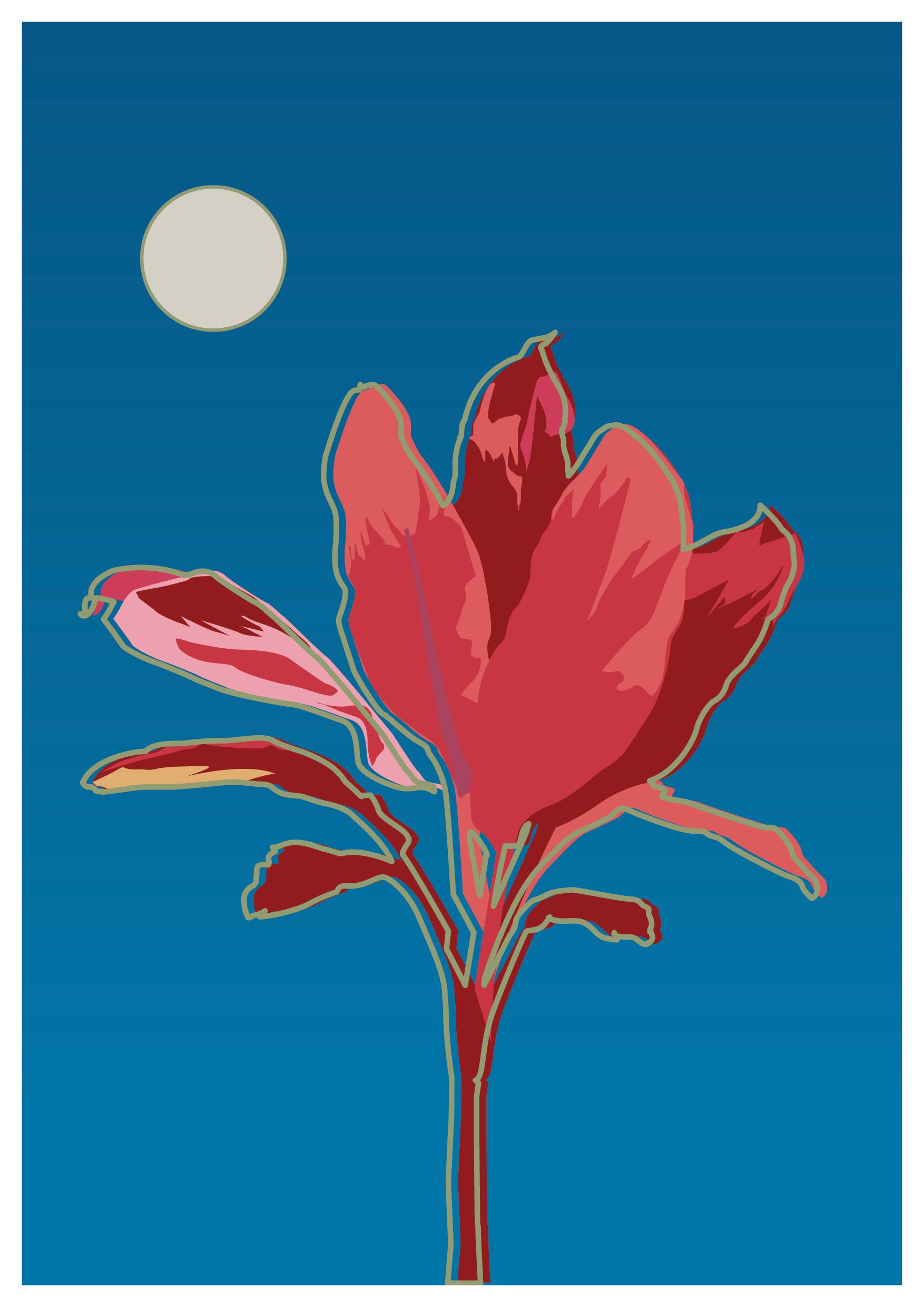 Suva, Fiji. 20259.png