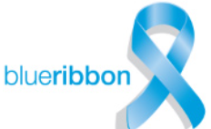 Blue Ribbon - Bestuurslid Nudging en Communicatie