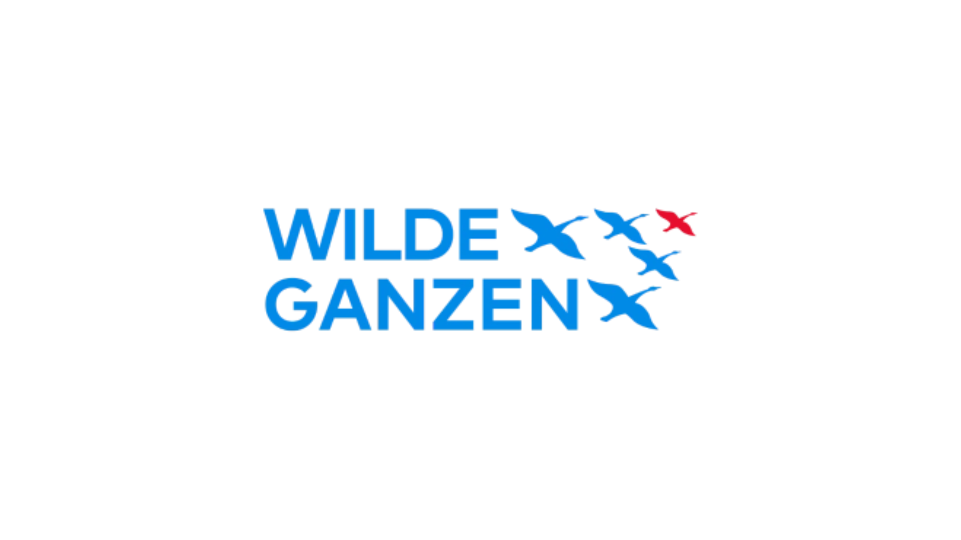 Wilde Ganzen: Lid Raad van Toezicht Fondsenwerving &amp; Financieringsvormen