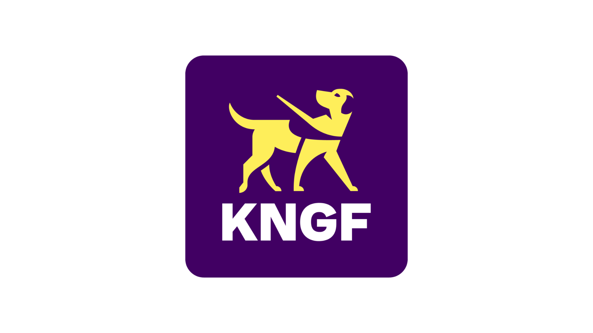 KNGF Geleidehonden: Lid Raad van Toezicht (2x)