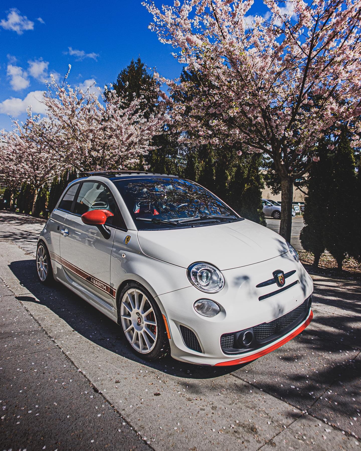 Spring has arrived🌸

Lovely photo by @wudriven 

&mdash;&mdash;&mdash;&mdash;&mdash;&mdash;&mdash;&mdash;&mdash;&mdash;&mdash;&mdash;&mdash;&mdash;&mdash;&mdash;&mdash;

#abarth #abarth500 #abarthaddict #abarth595 #abarth124 #abarthgram #abarthitali