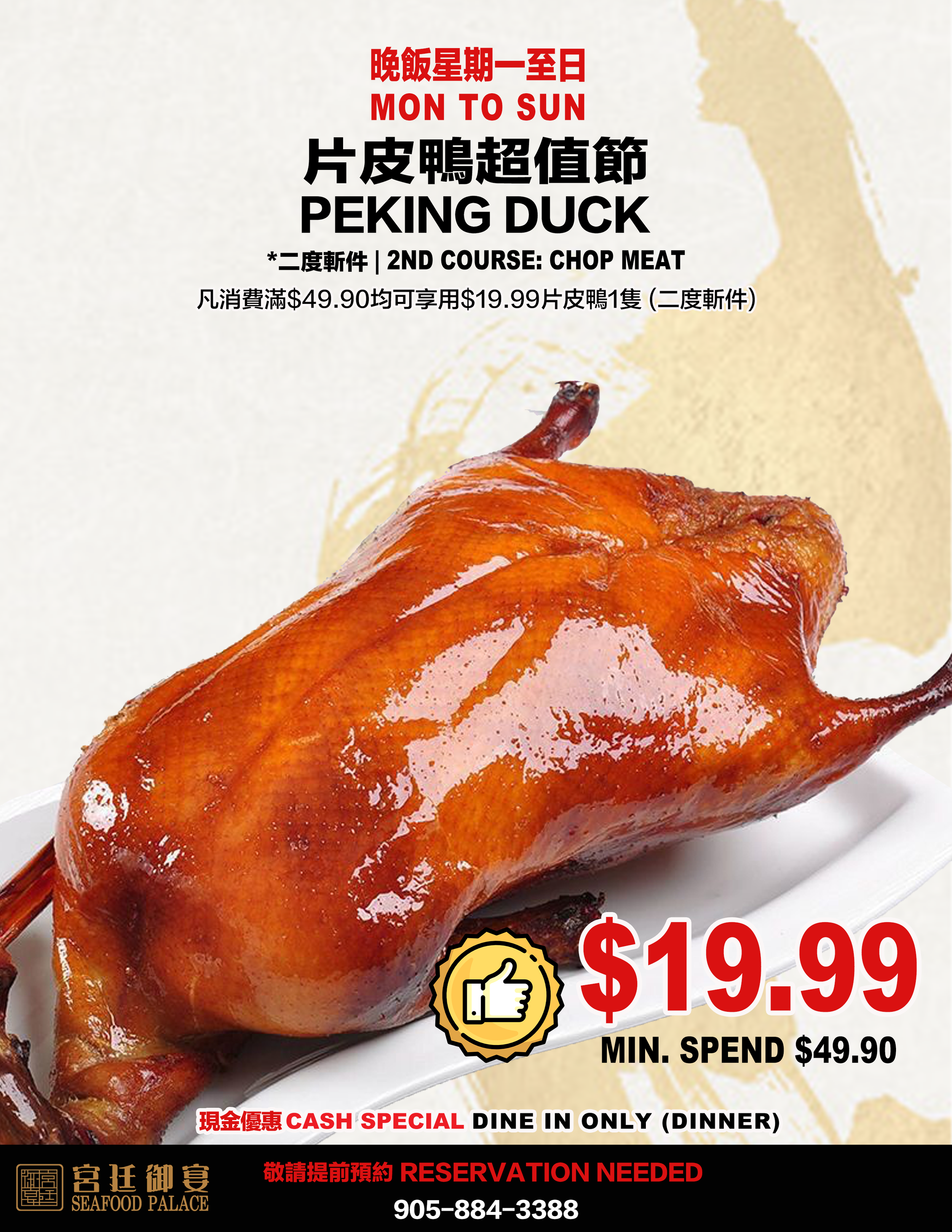 Peking DUck 19.png