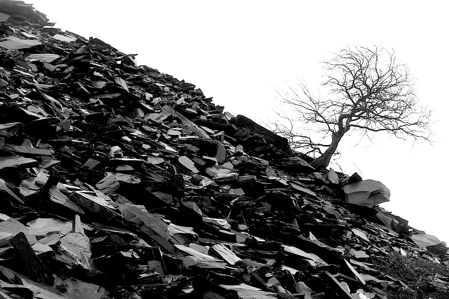 R WOOLSTON WALES 8.JPG