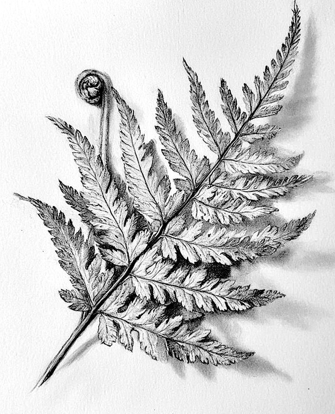 Artist Robyn Woolston to design installations with local community as part of A9 Dualling: Tomatin to Moy