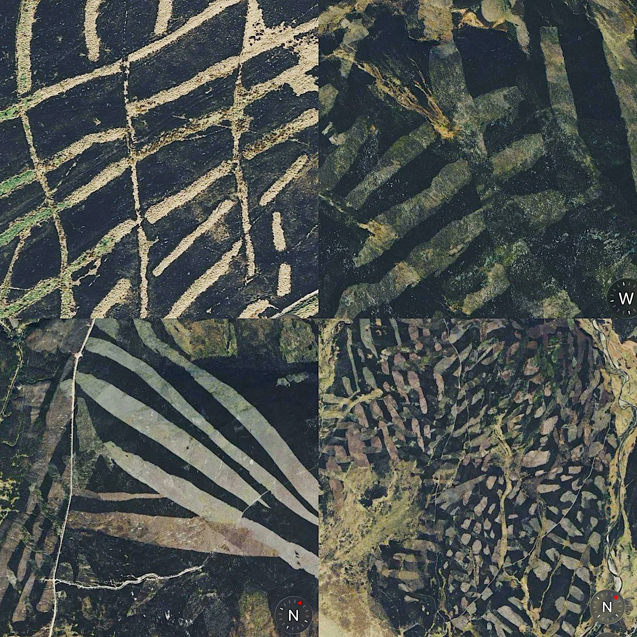 'Cairngorms 2030' Artist in Residence