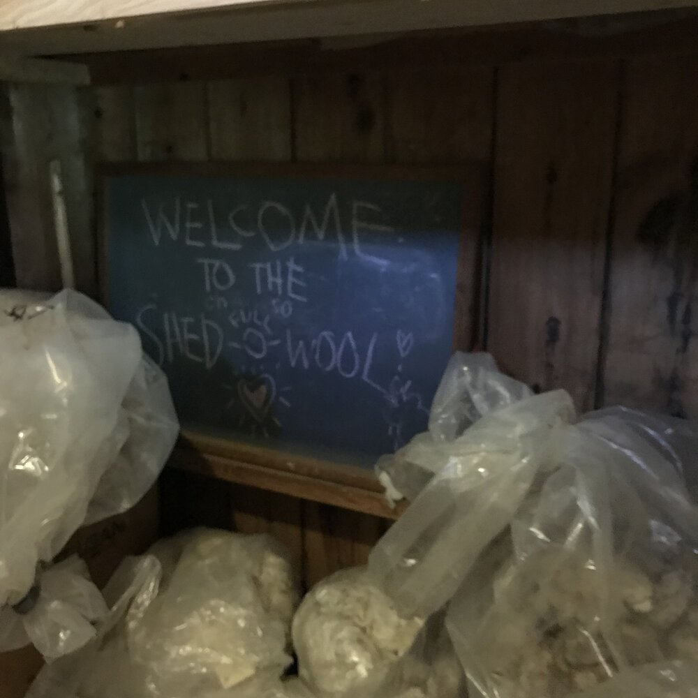 Welcome to the Shed-O-Wool!