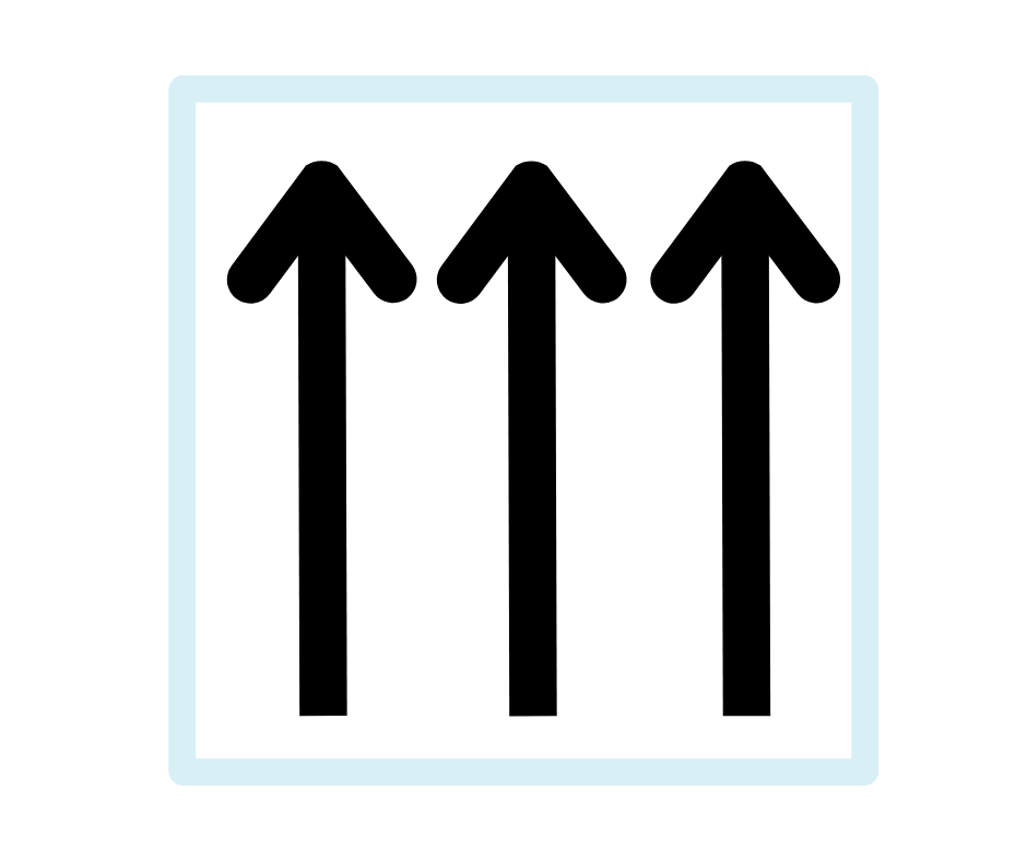 SUPPORTO PER LA SCHIENA.png