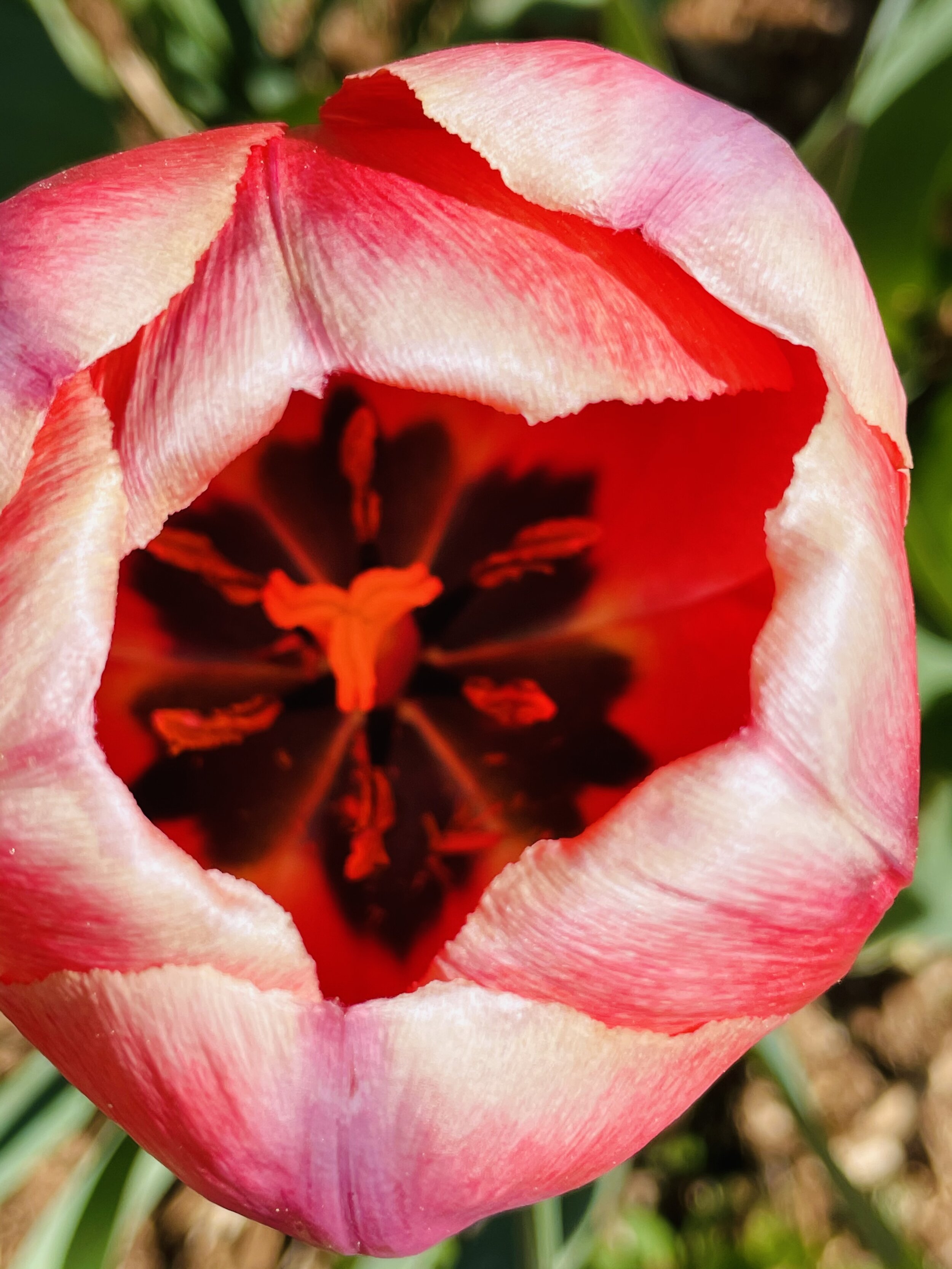 BEYOND TALK THERAPY: You Don’t Have to Talk About “It” to Heal “It!”