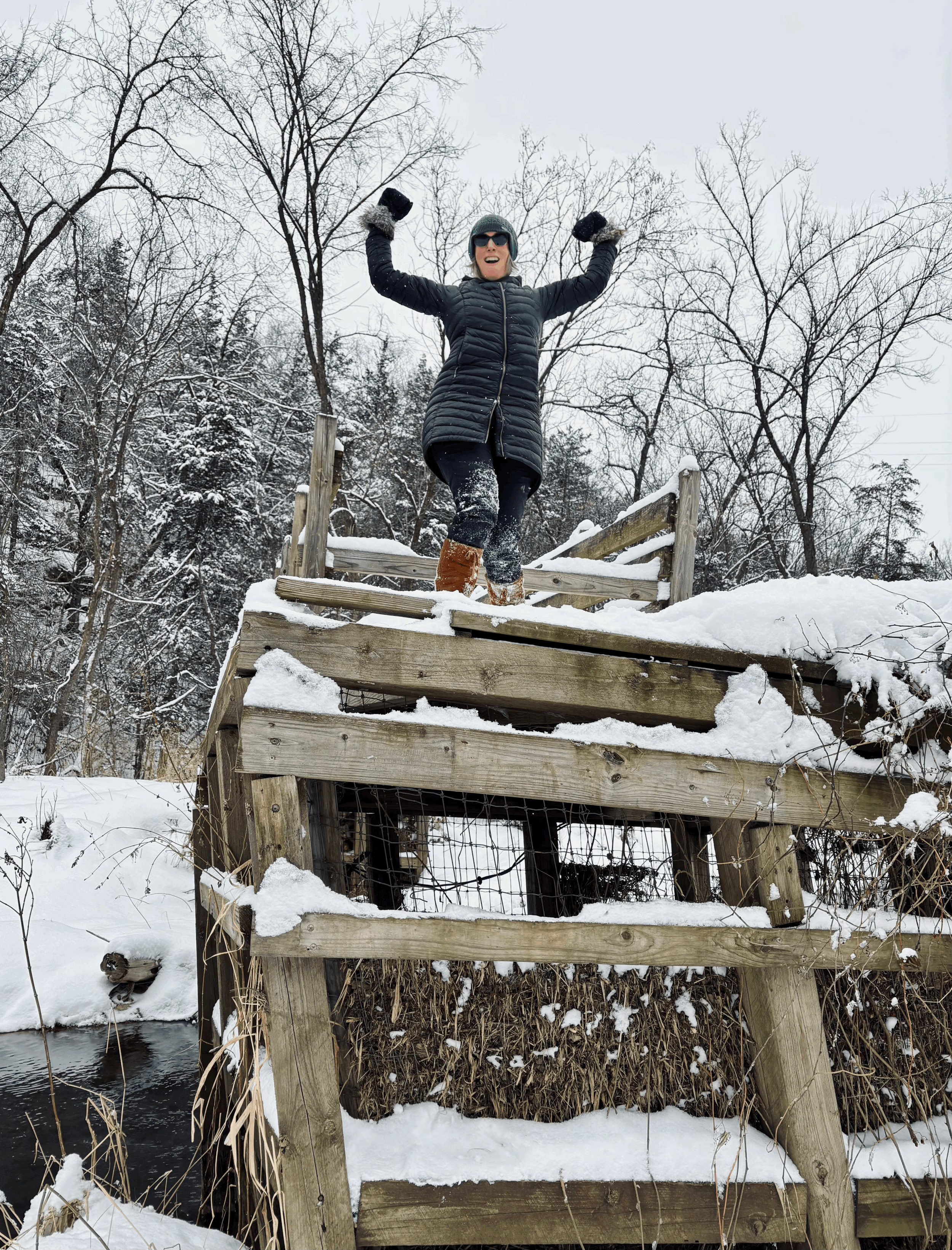 ACCEPTED! Brainspotting Consultant-in-Training!