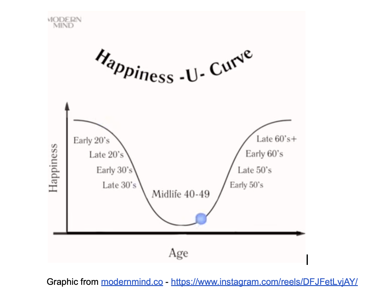 Bibliotherapy: The Happiness Curve: Why Life Gets Better After 50