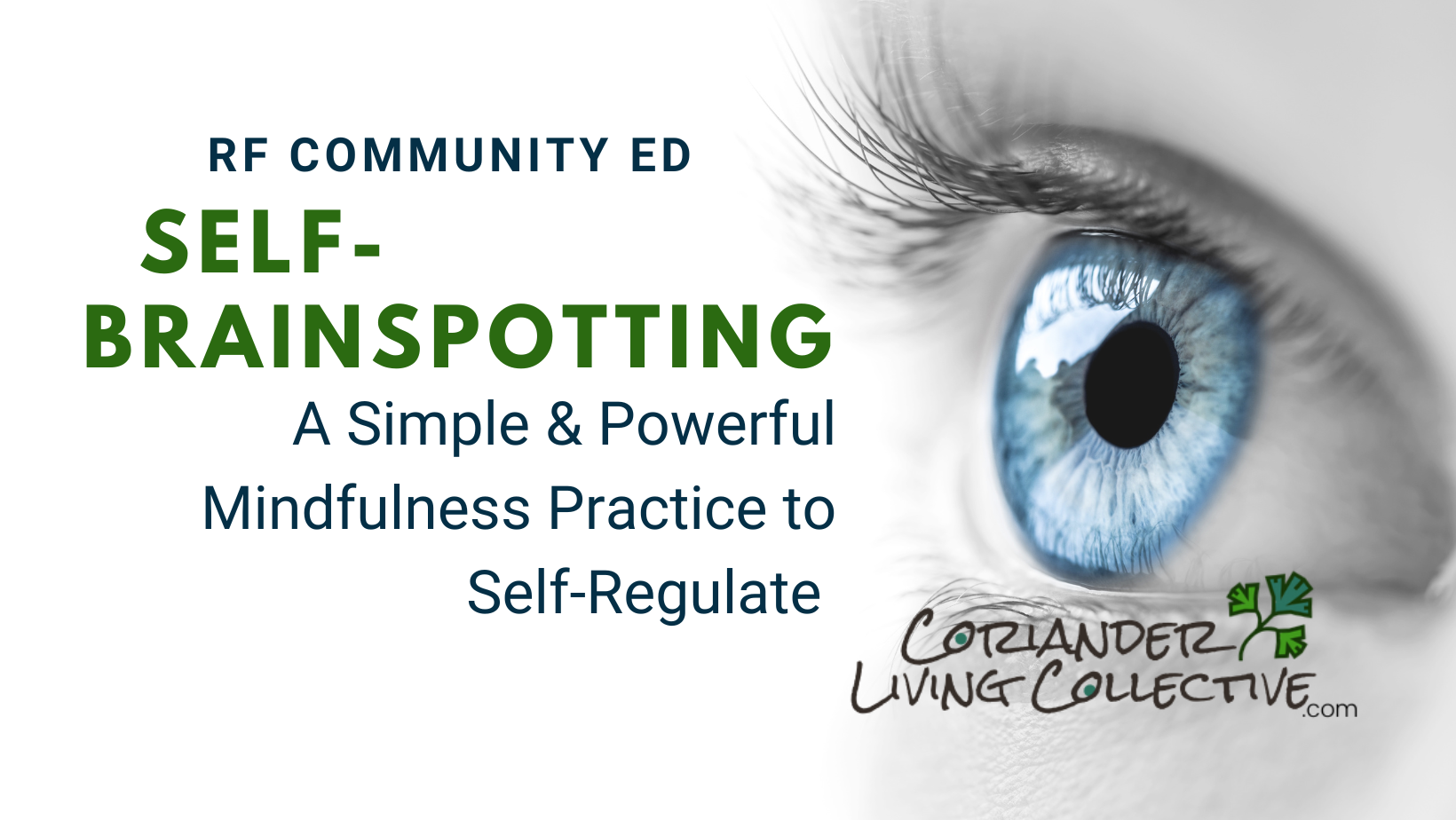 Learn to Regulate Your Nervous System: The Power of Self-Brainspotting