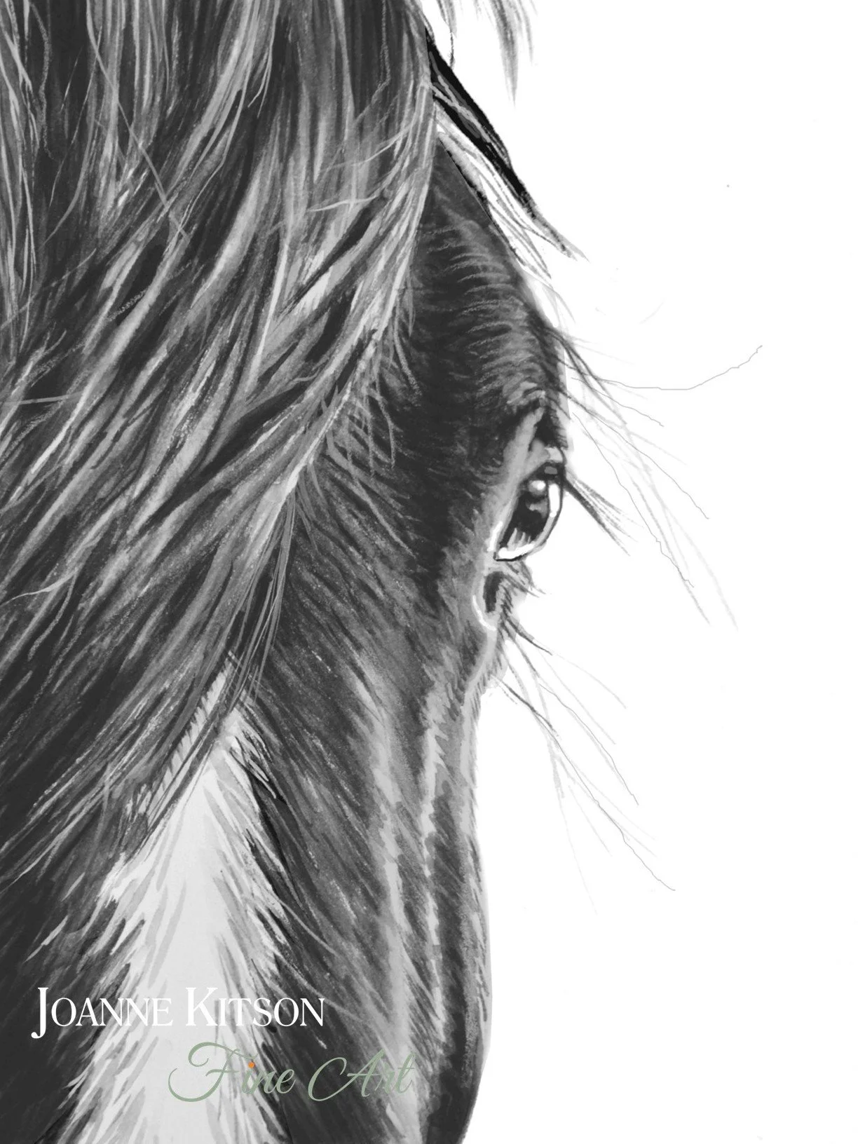 'Close Contact II' | Equine Portrait by Joanne Kitson