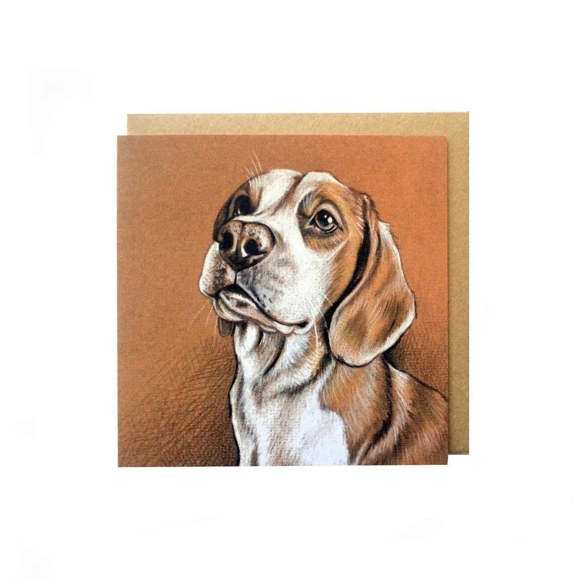 Beagle.jpg