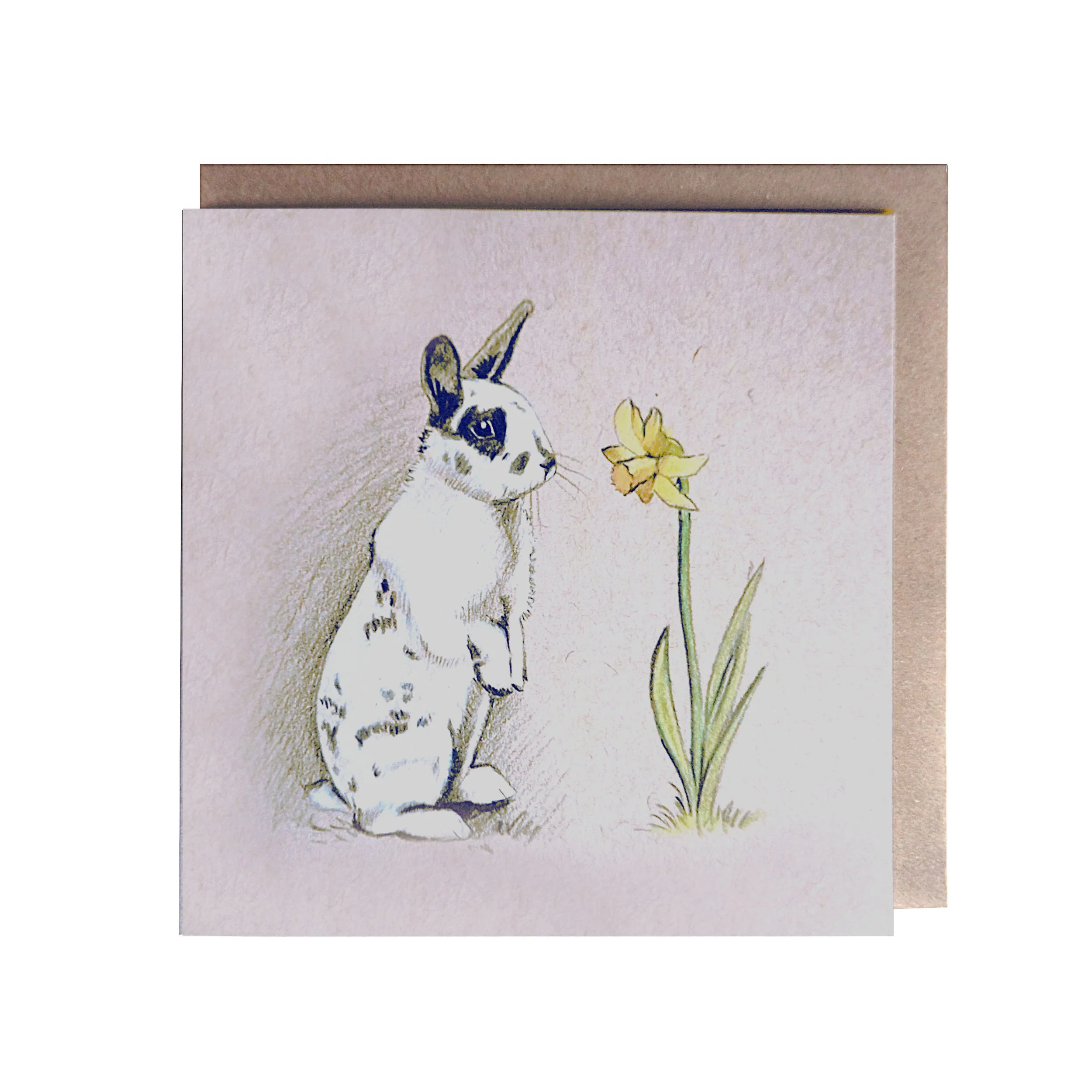 Signs of Spring card 2.jpg