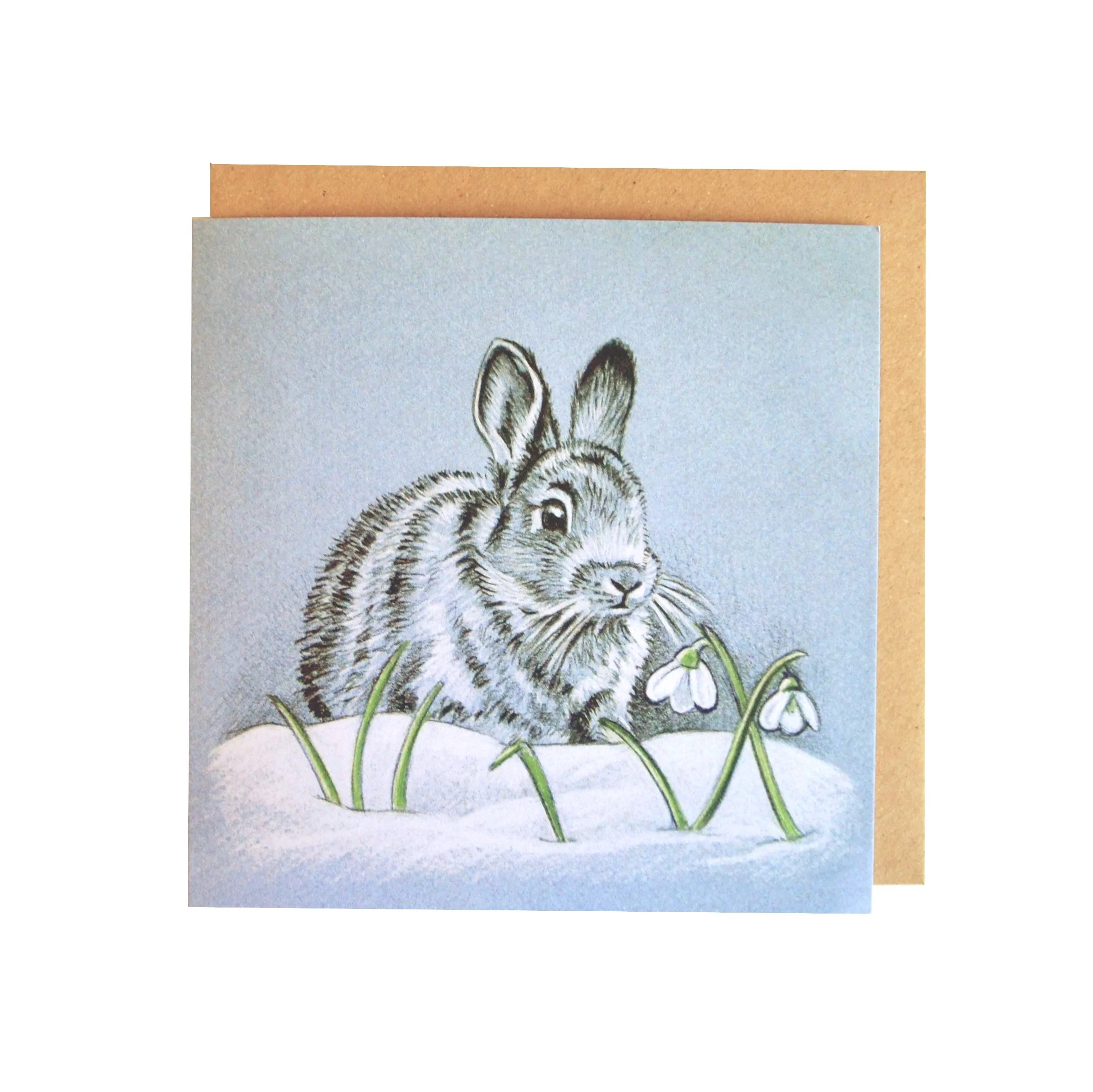 Xmas rabbit square.jpg