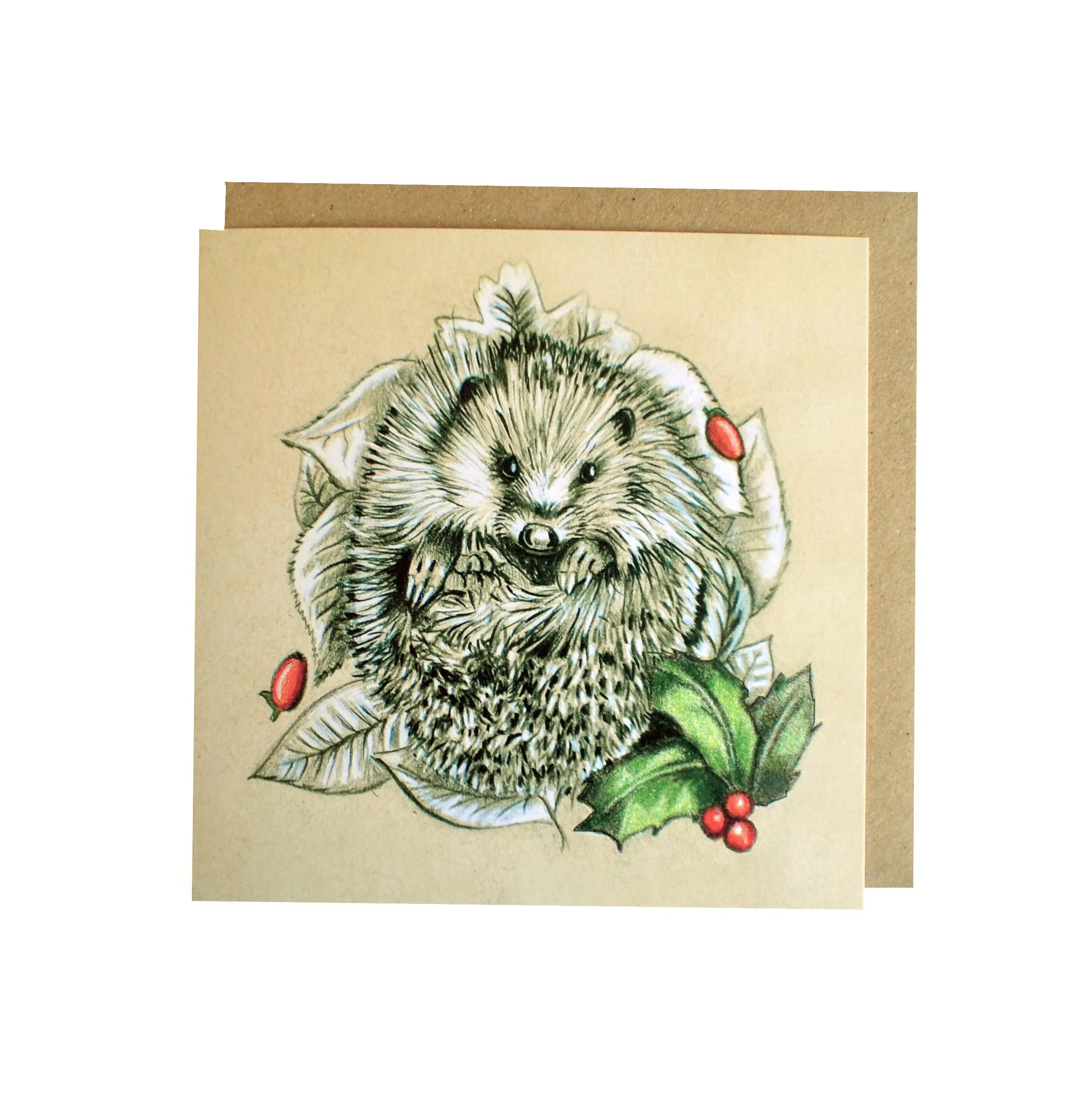 Xmas hedgehog square.jpg