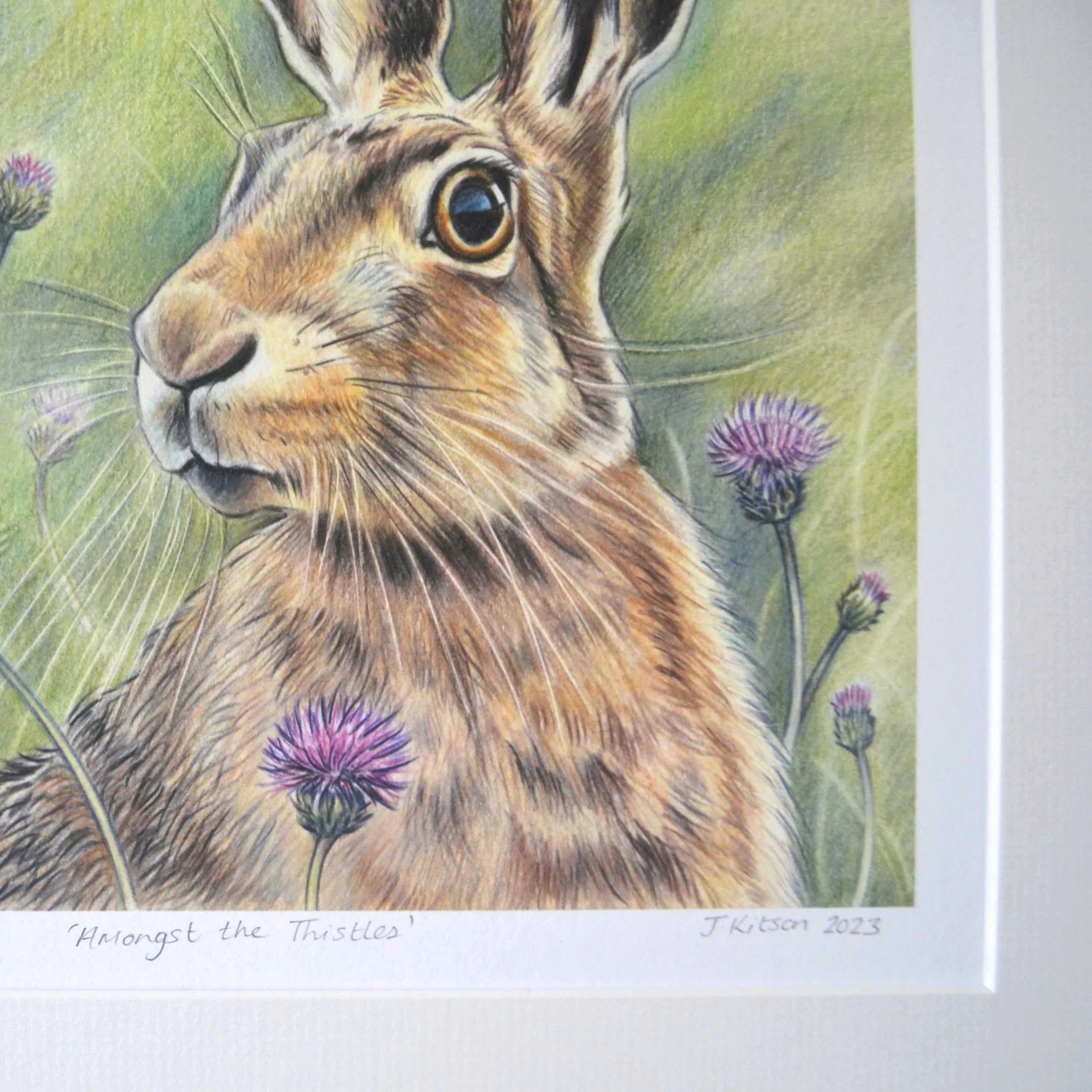 received_1015986999814752 (1).jpeg